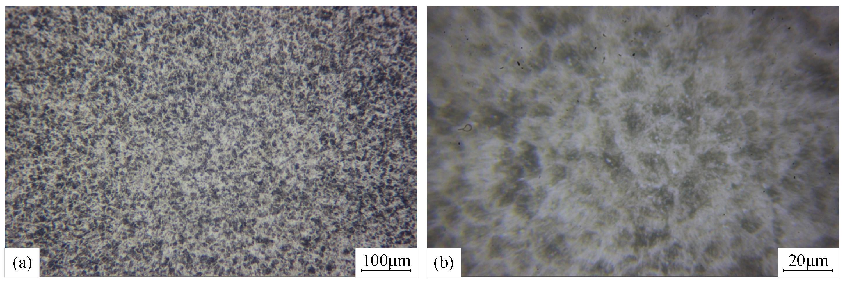 Metals 15 00421 g016