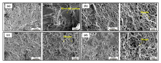 The Annealing Effect on Microstructure and Texture Evolution of Spun Al ...