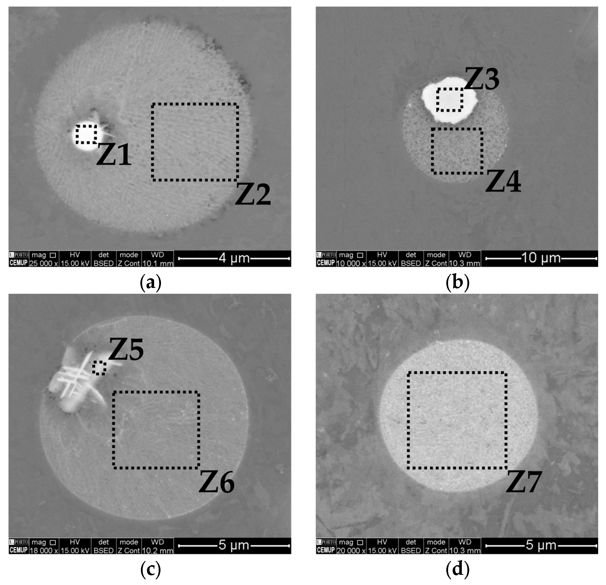Metals 15 00451 g007