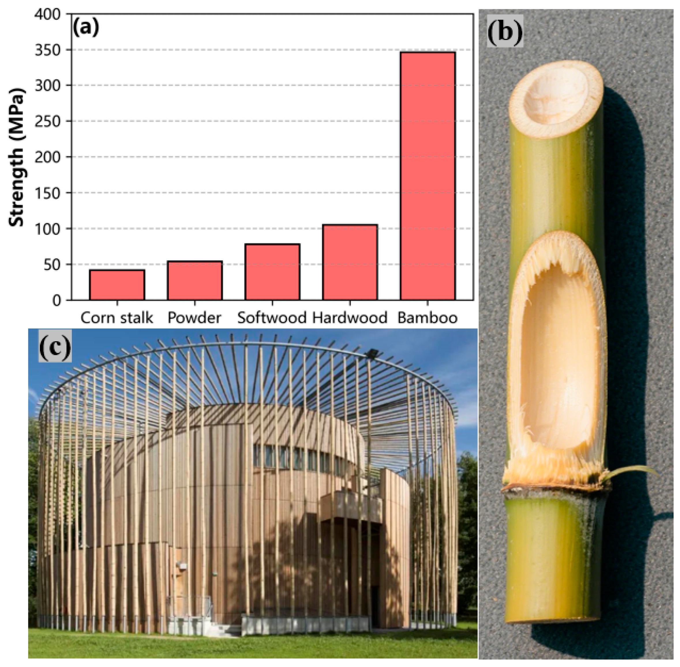Metals 15 00464 g001