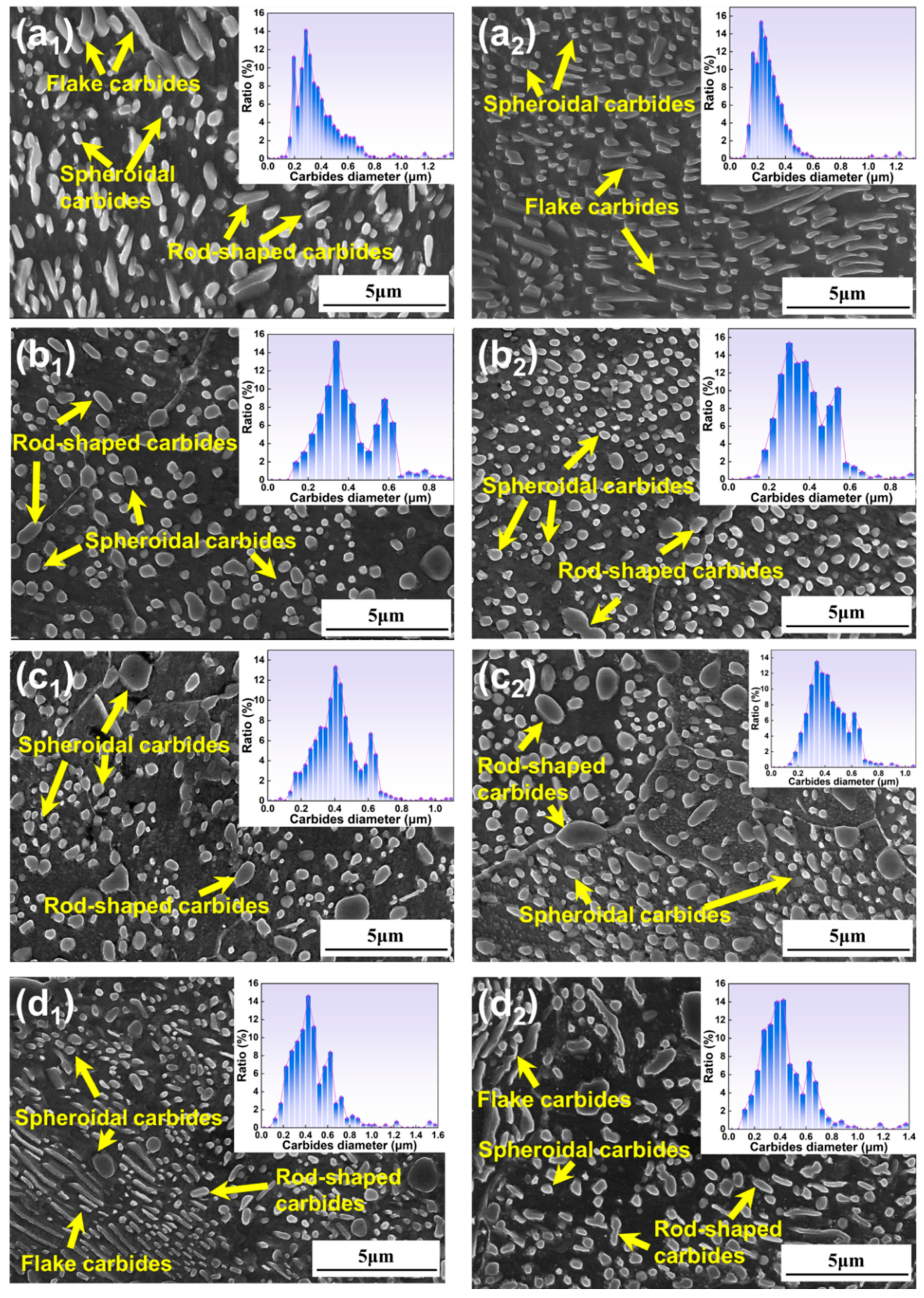 Metals 15 00467 g002