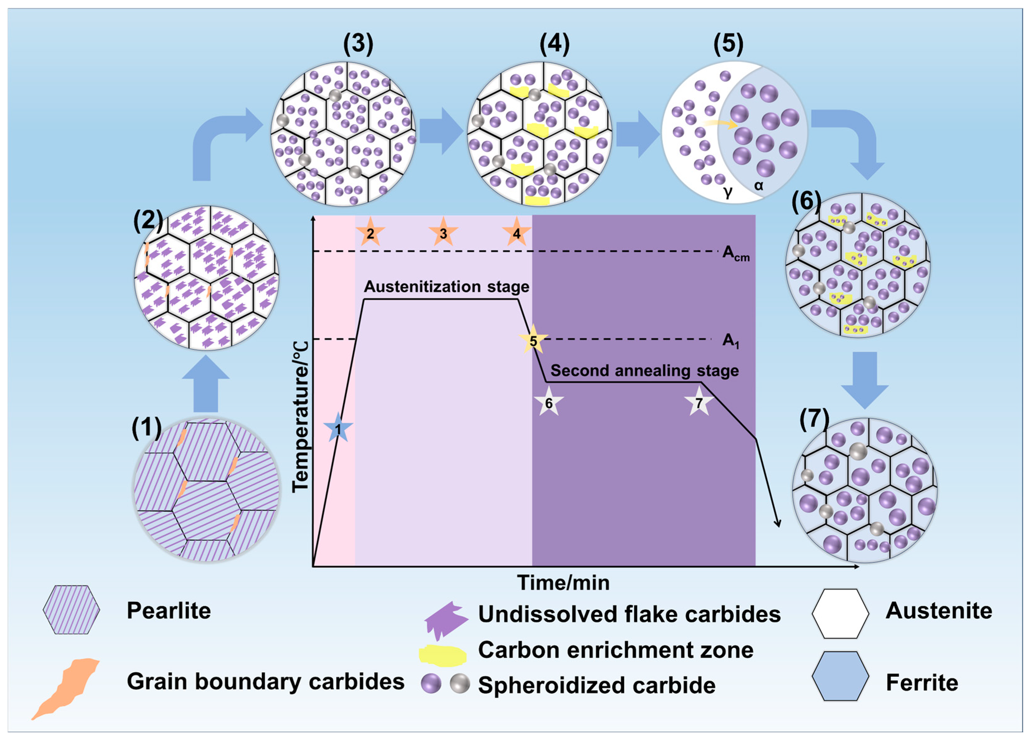 Metals 15 00467 g012