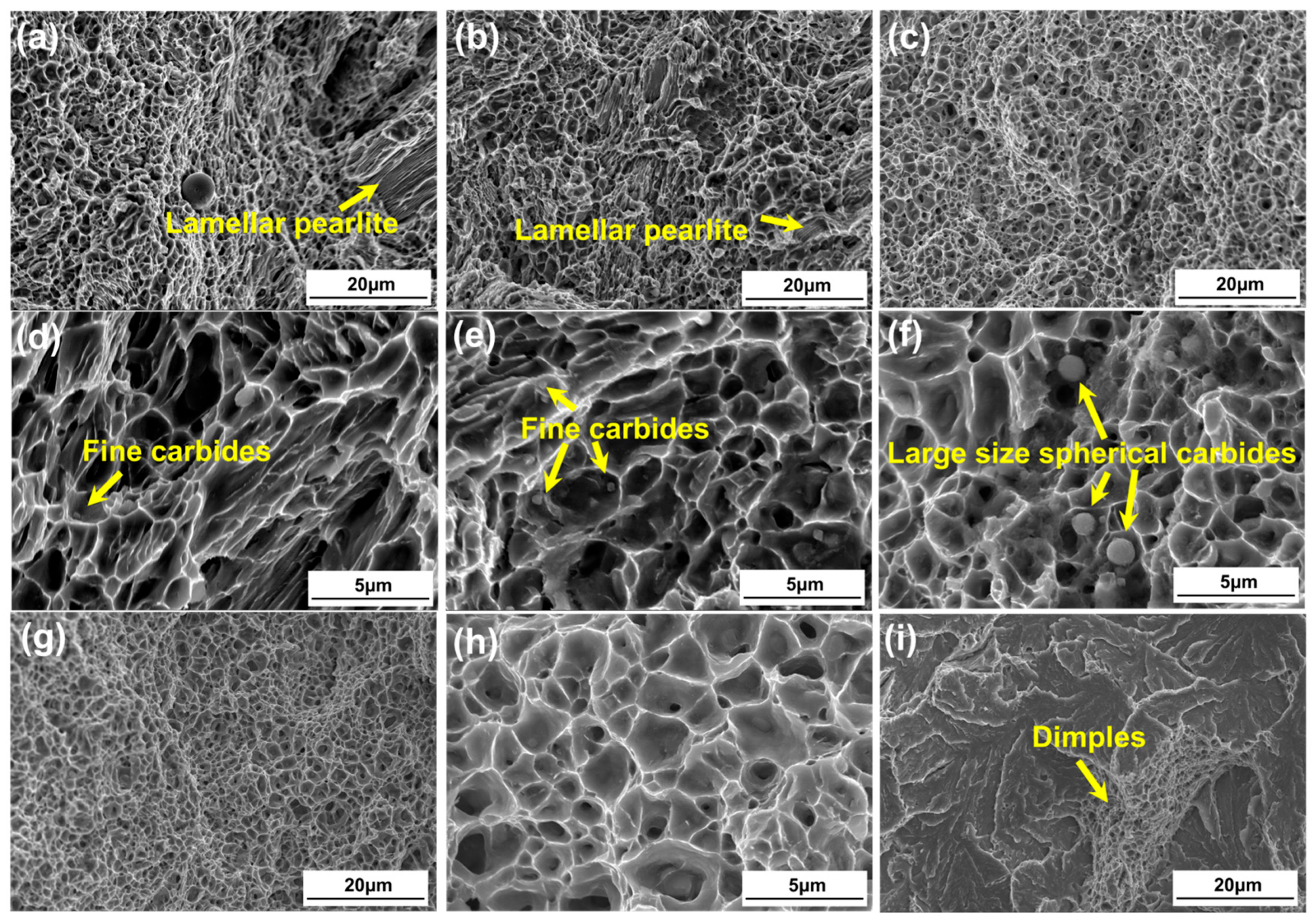 Metals 15 00467 g015