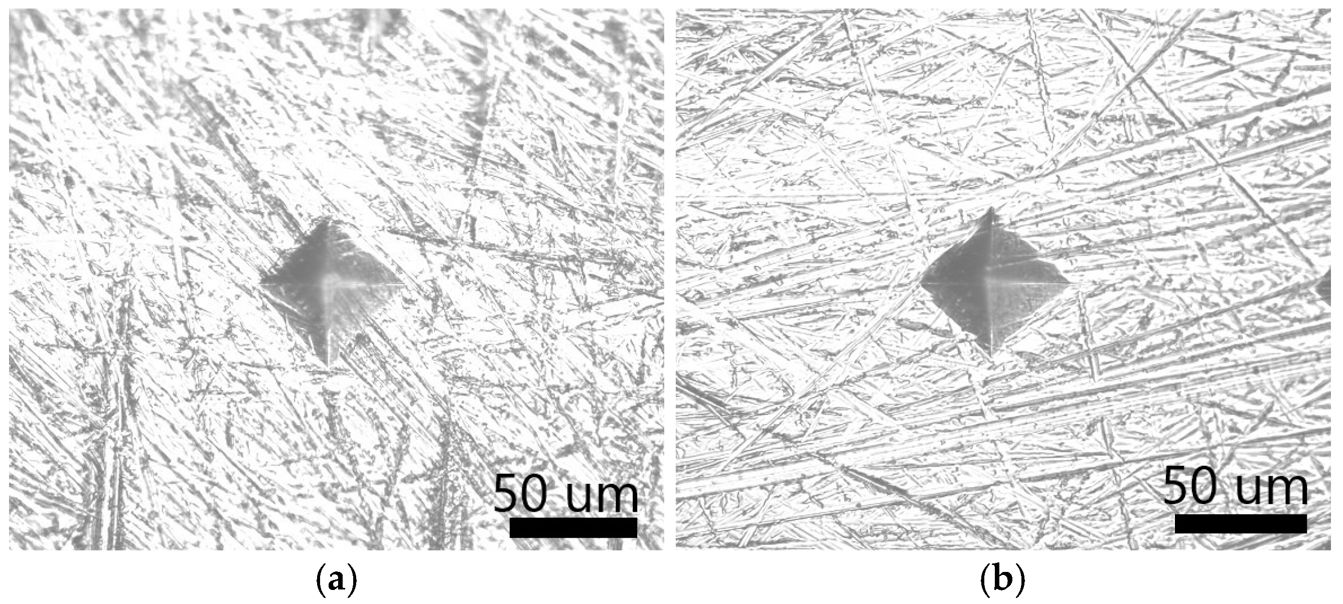 Metals 15 00471 g012