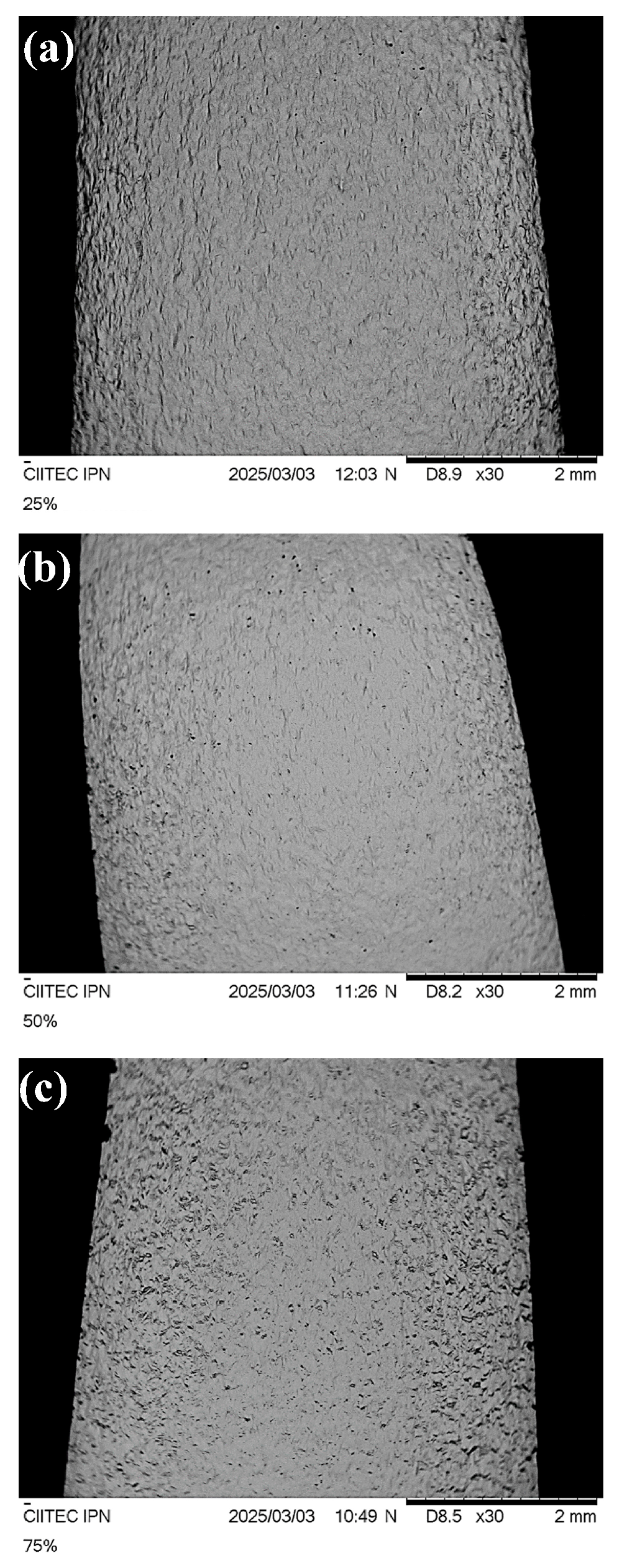 Metals 15 00472 g010