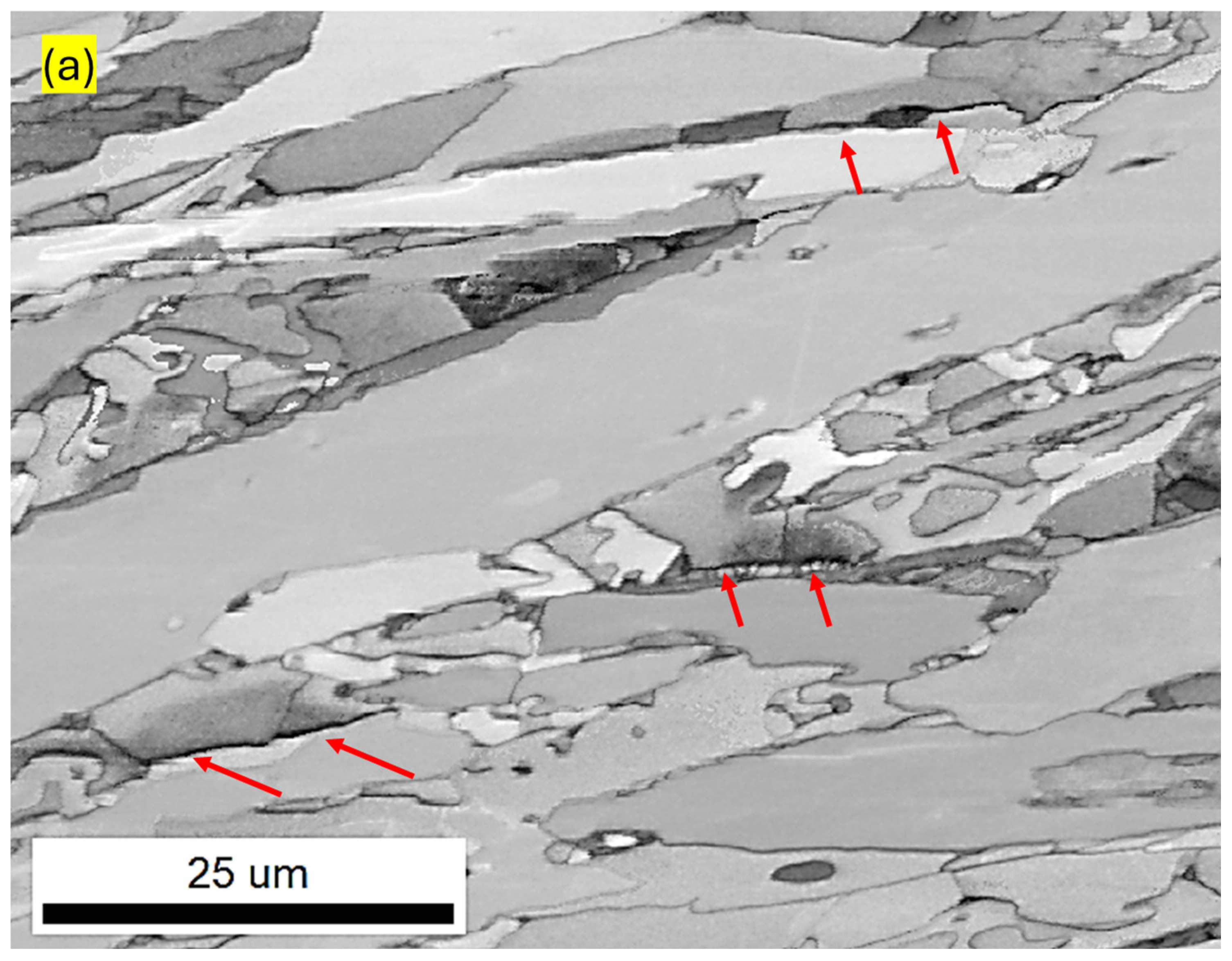 Metals 15 00479 g016a