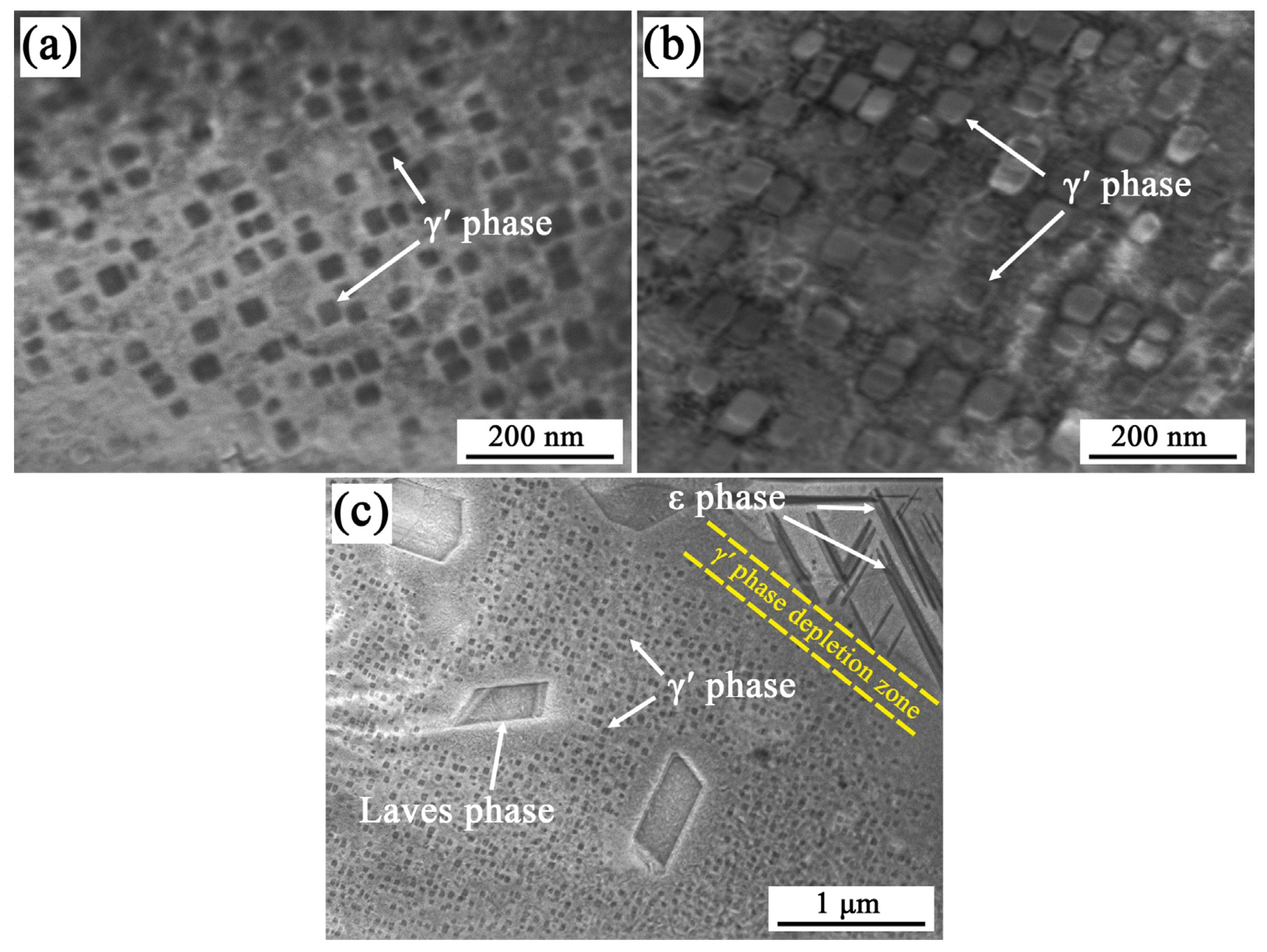 Metals 15 00484 g007