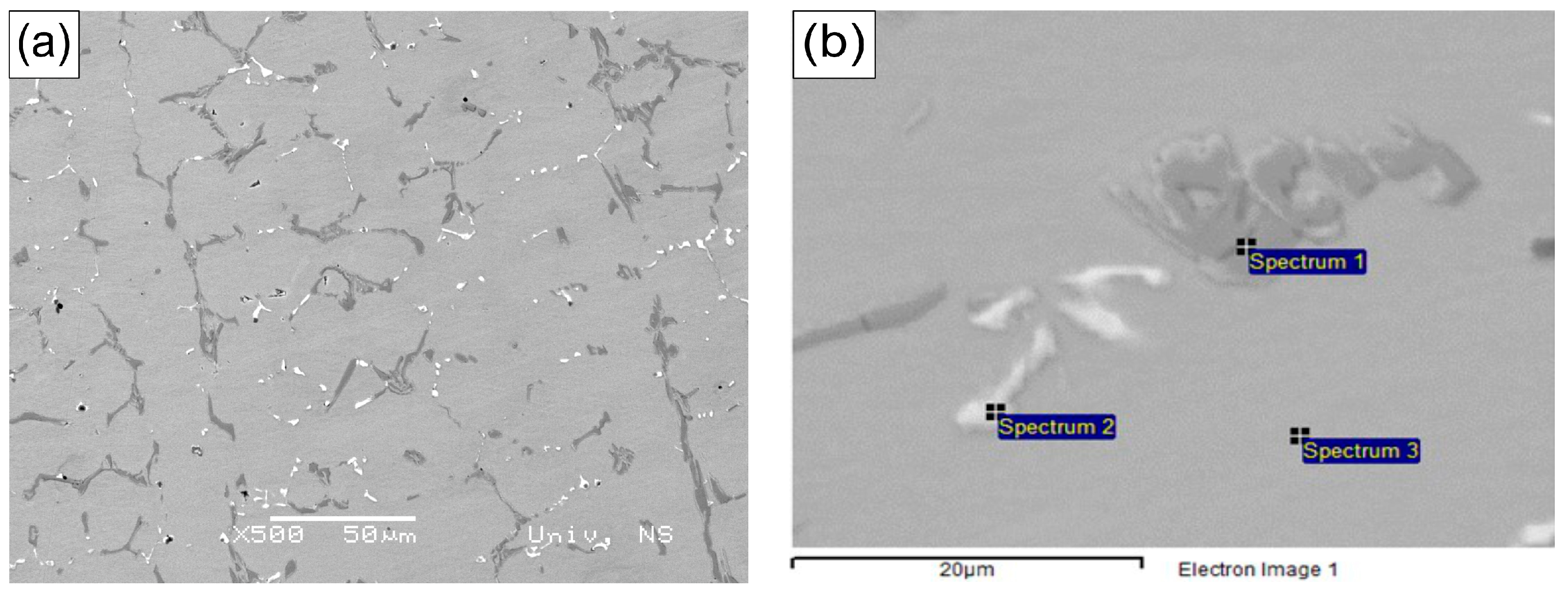 Metals 15 00486 g001