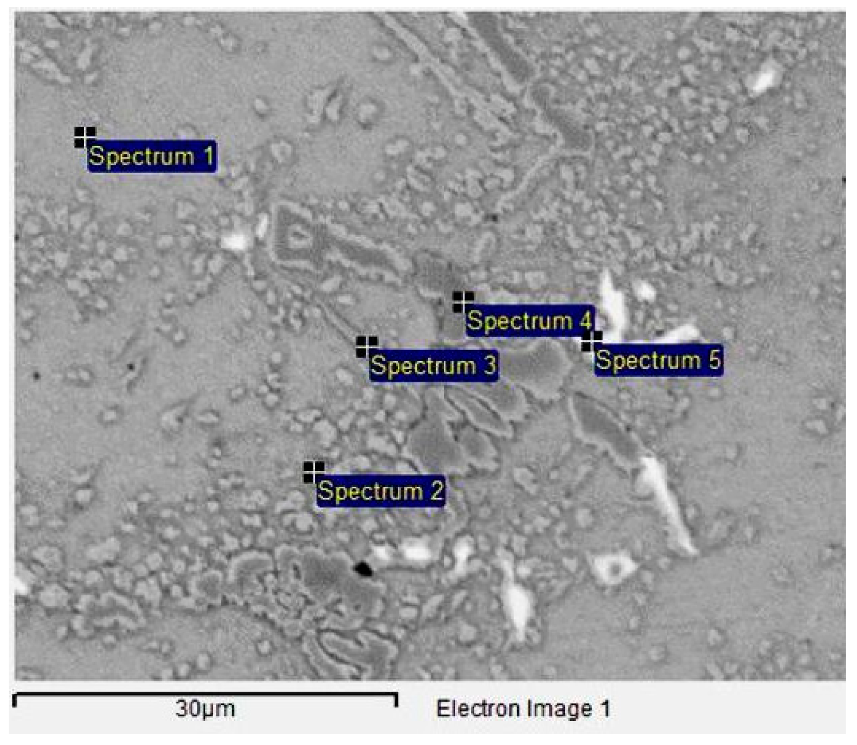 Metals 15 00486 g011