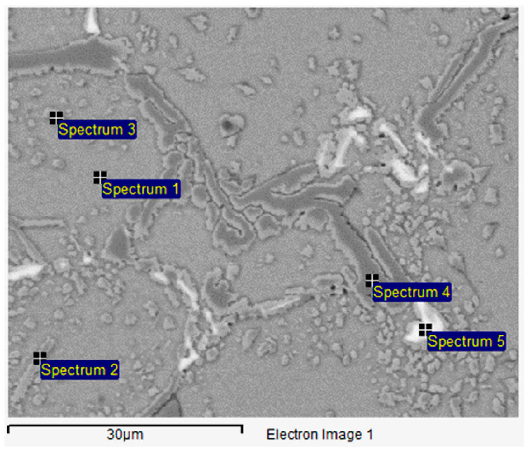 Metals 15 00486 g012