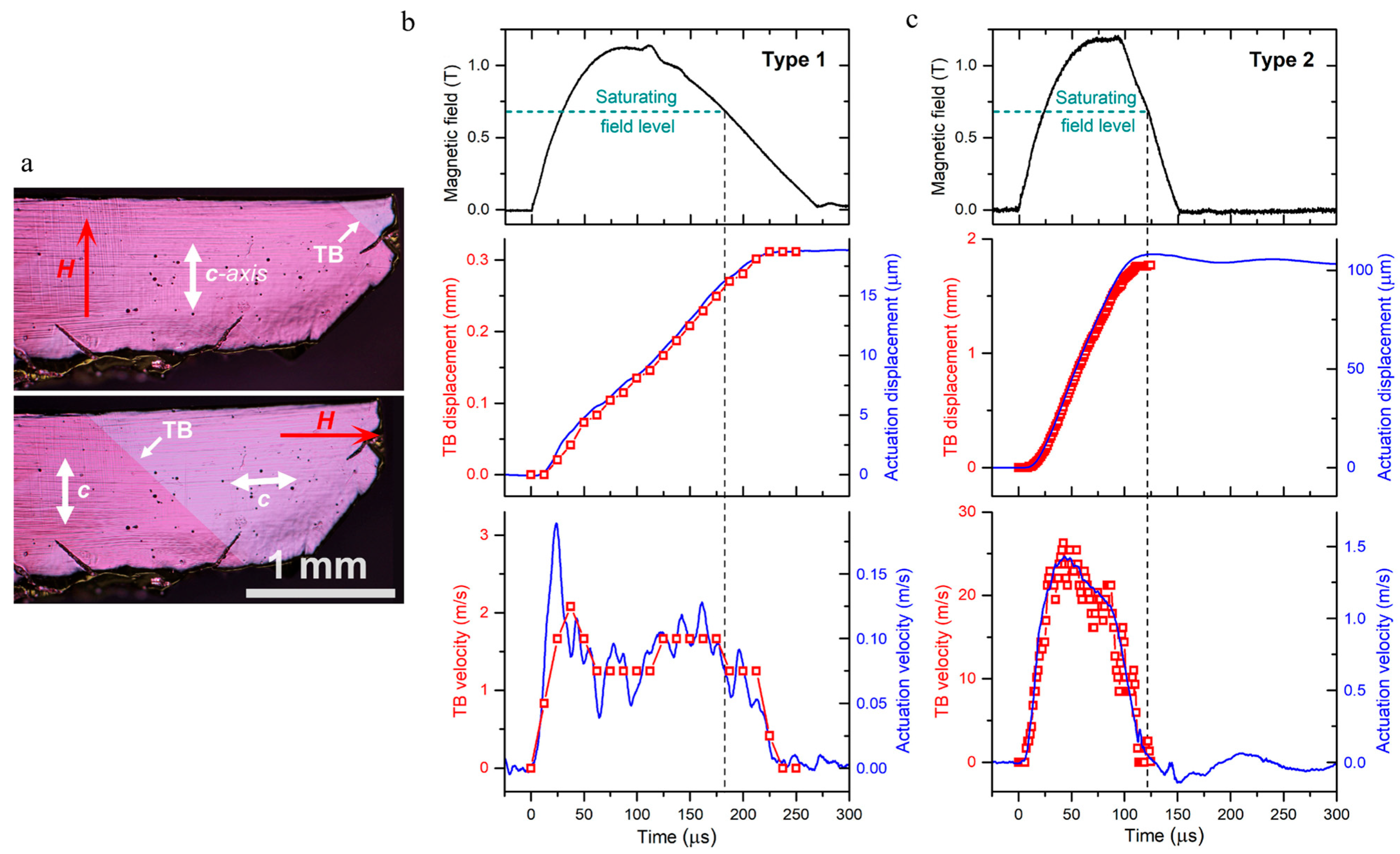Metals 15 00488 g007