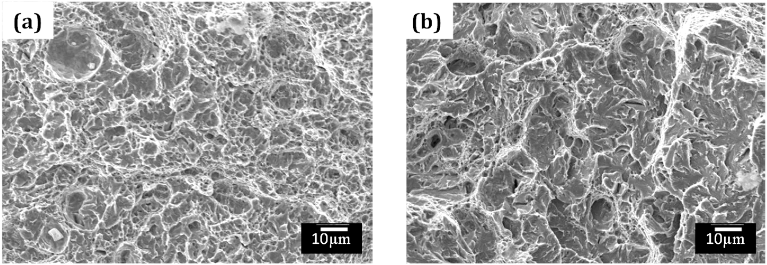 Metals 15 00496 g007