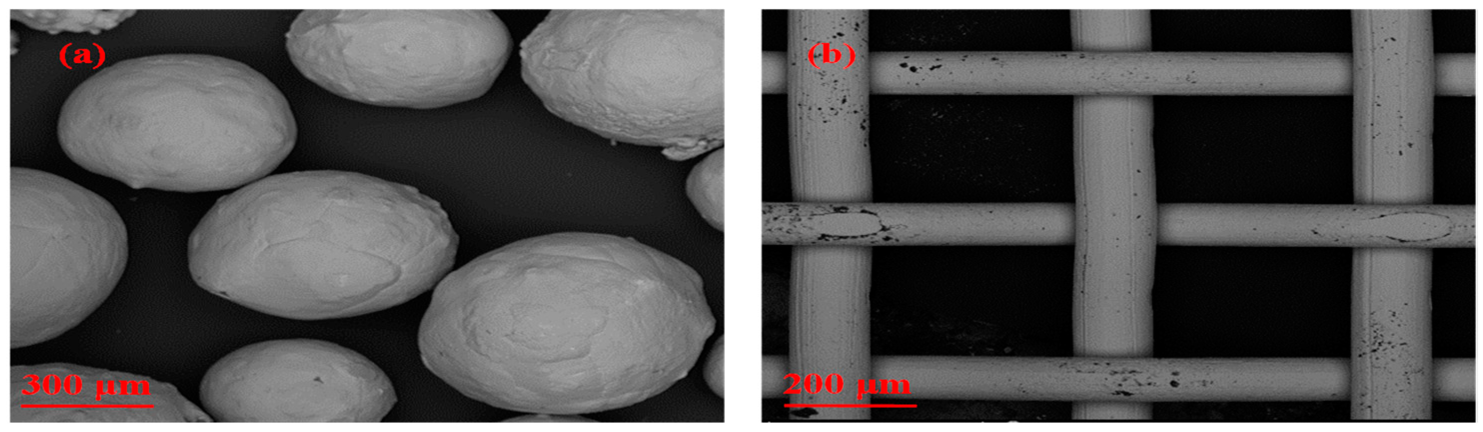 Metals 15 00498 g001