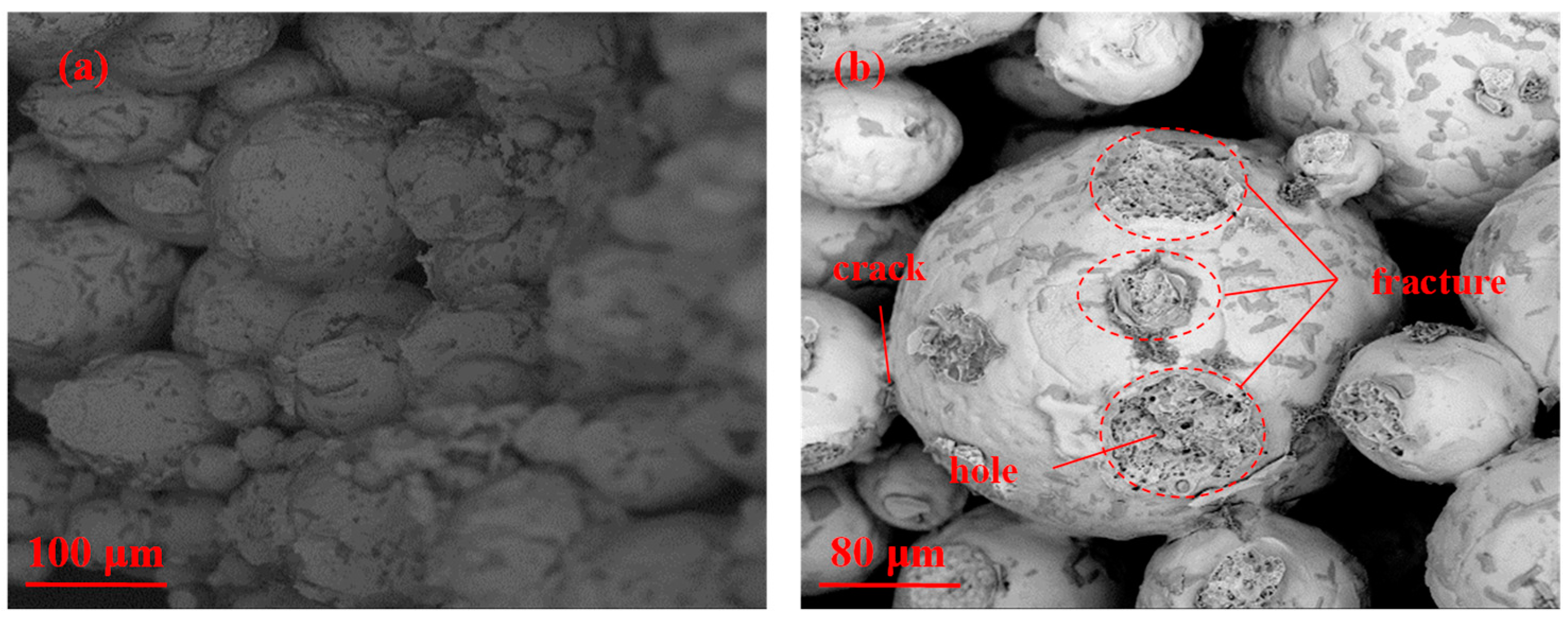 Metals 15 00498 g015