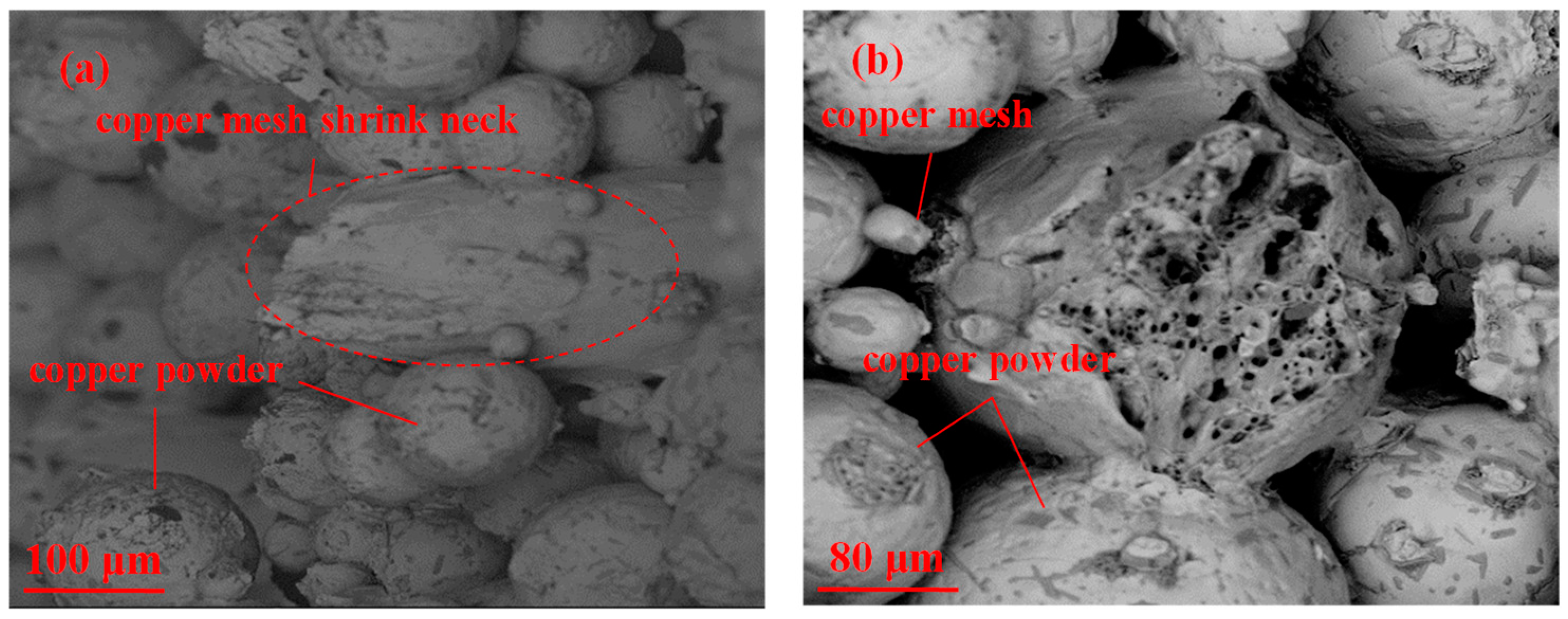 Metals 15 00498 g016