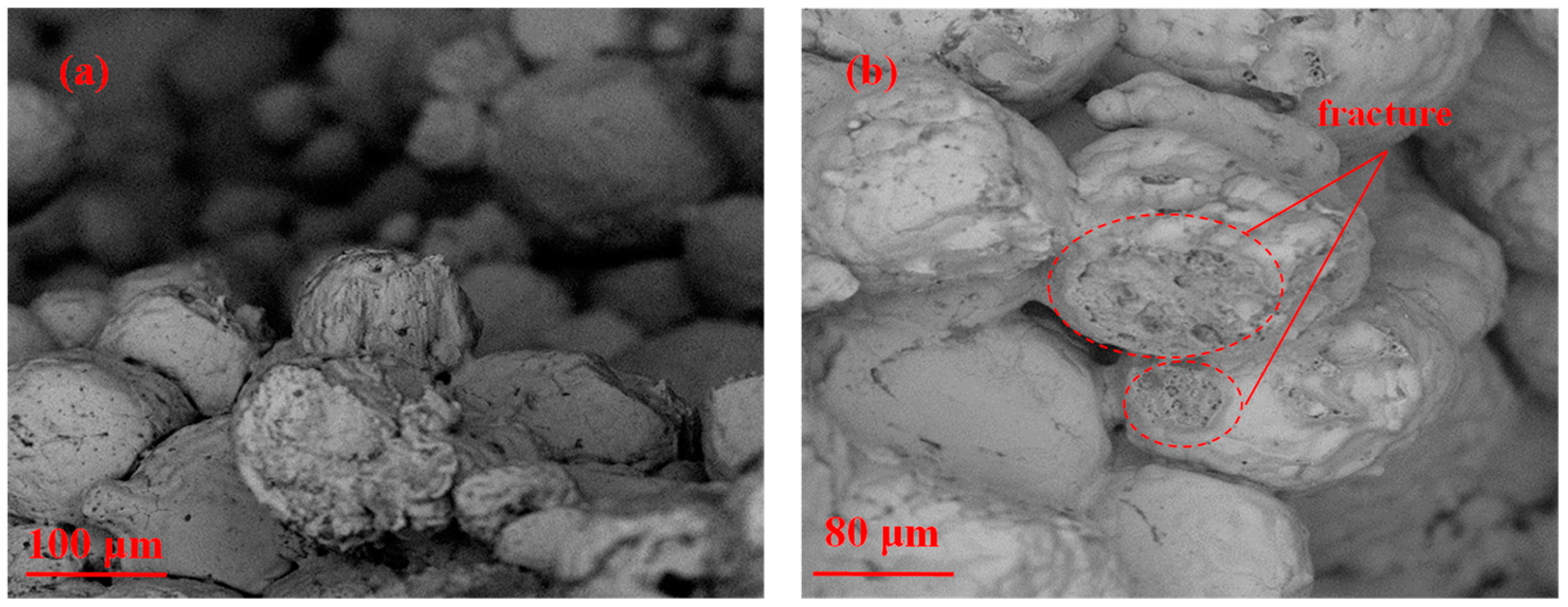 Metals 15 00498 g017