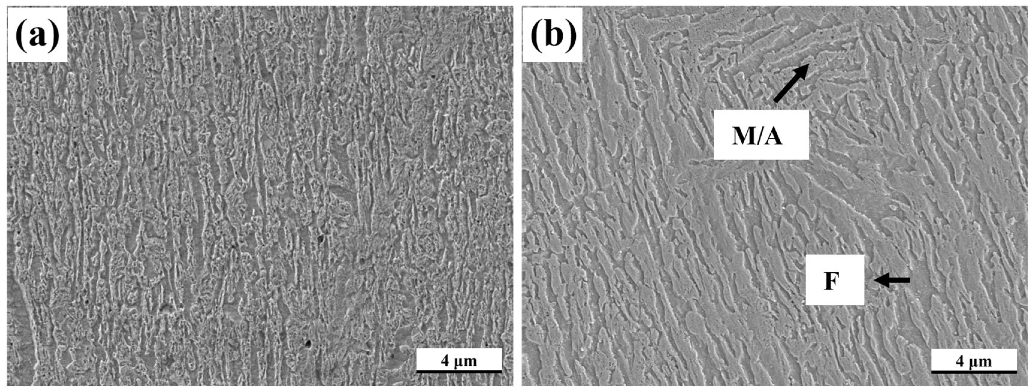 Metals 15 00500 g007