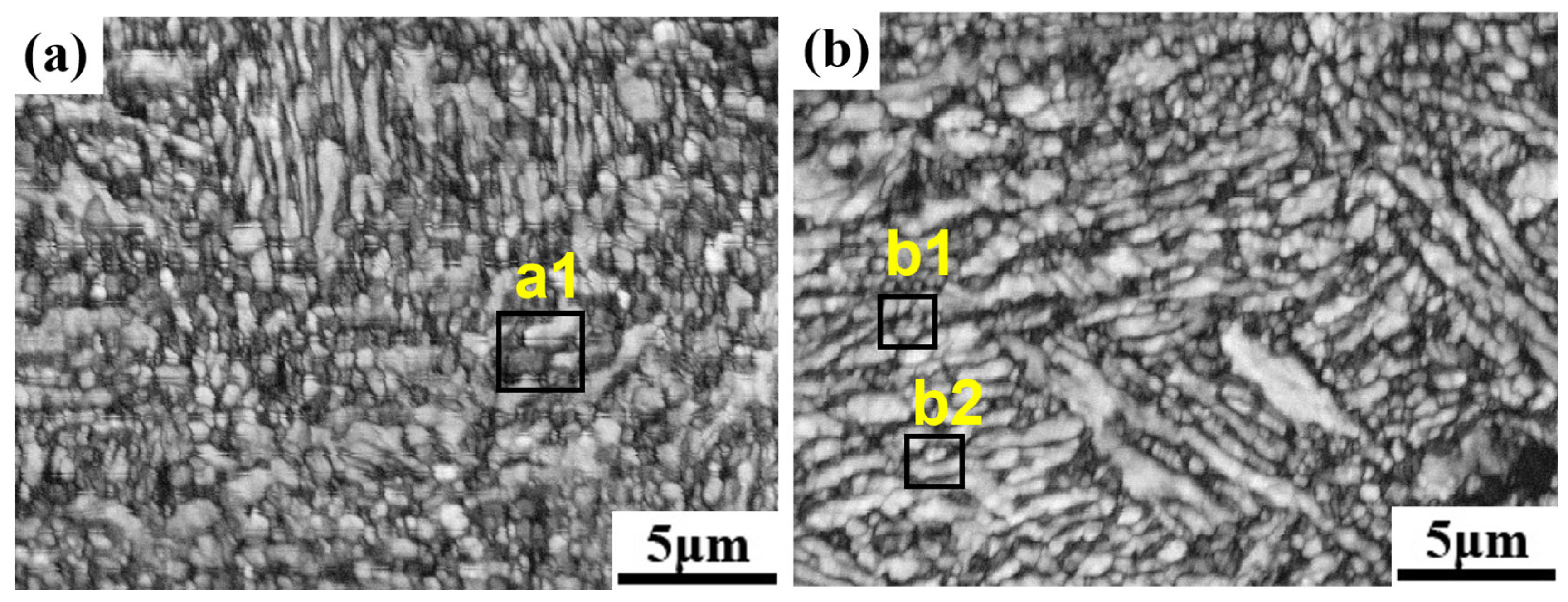 Metals 15 00500 g009
