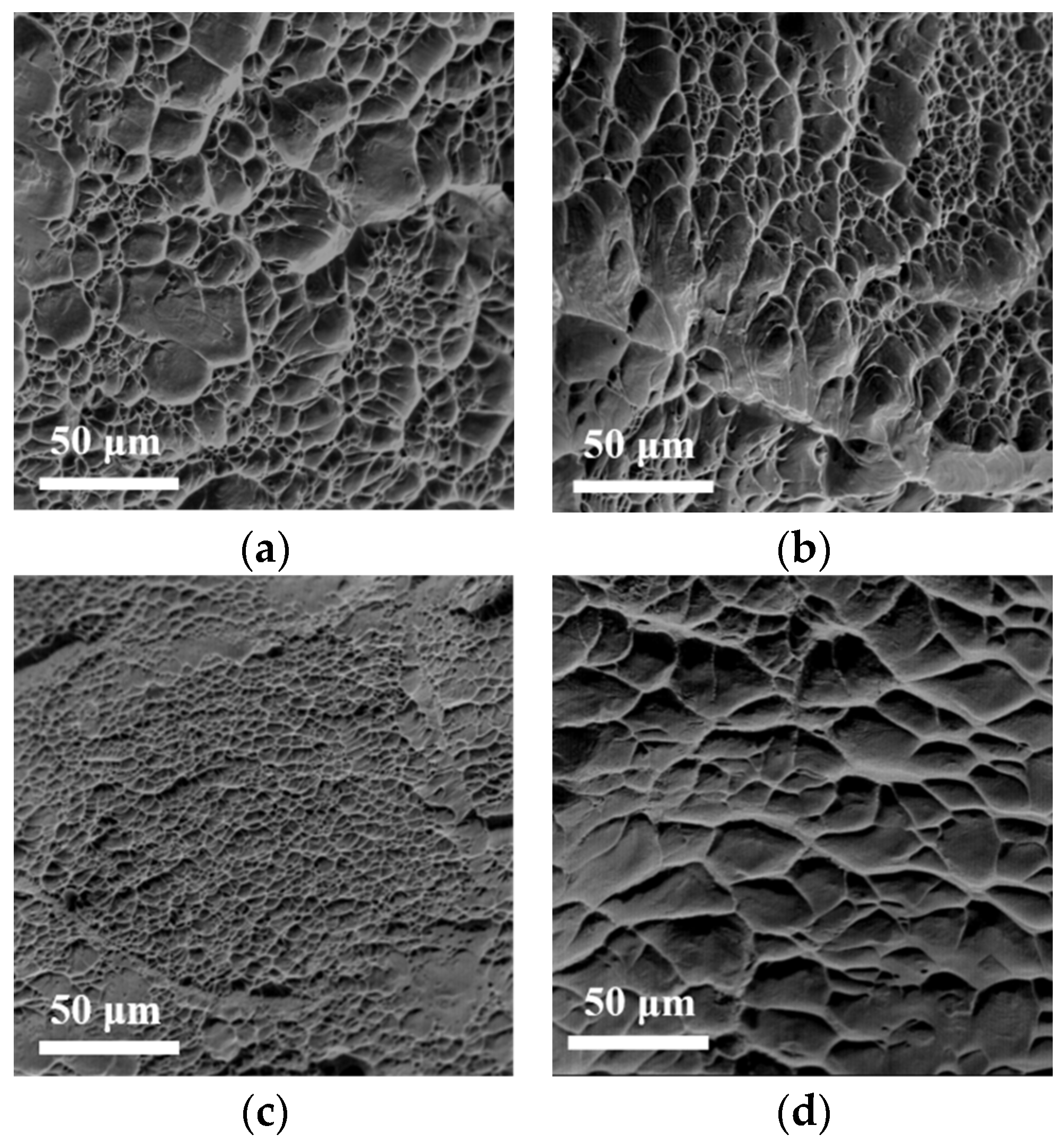 Metals 15 00503 g006