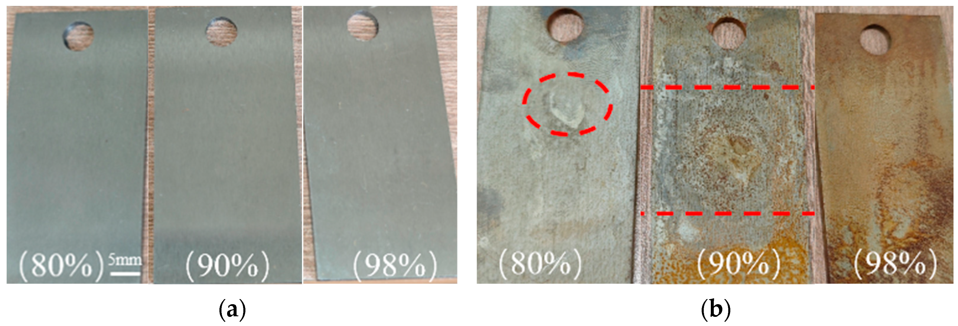 Metals 15 00506 g007