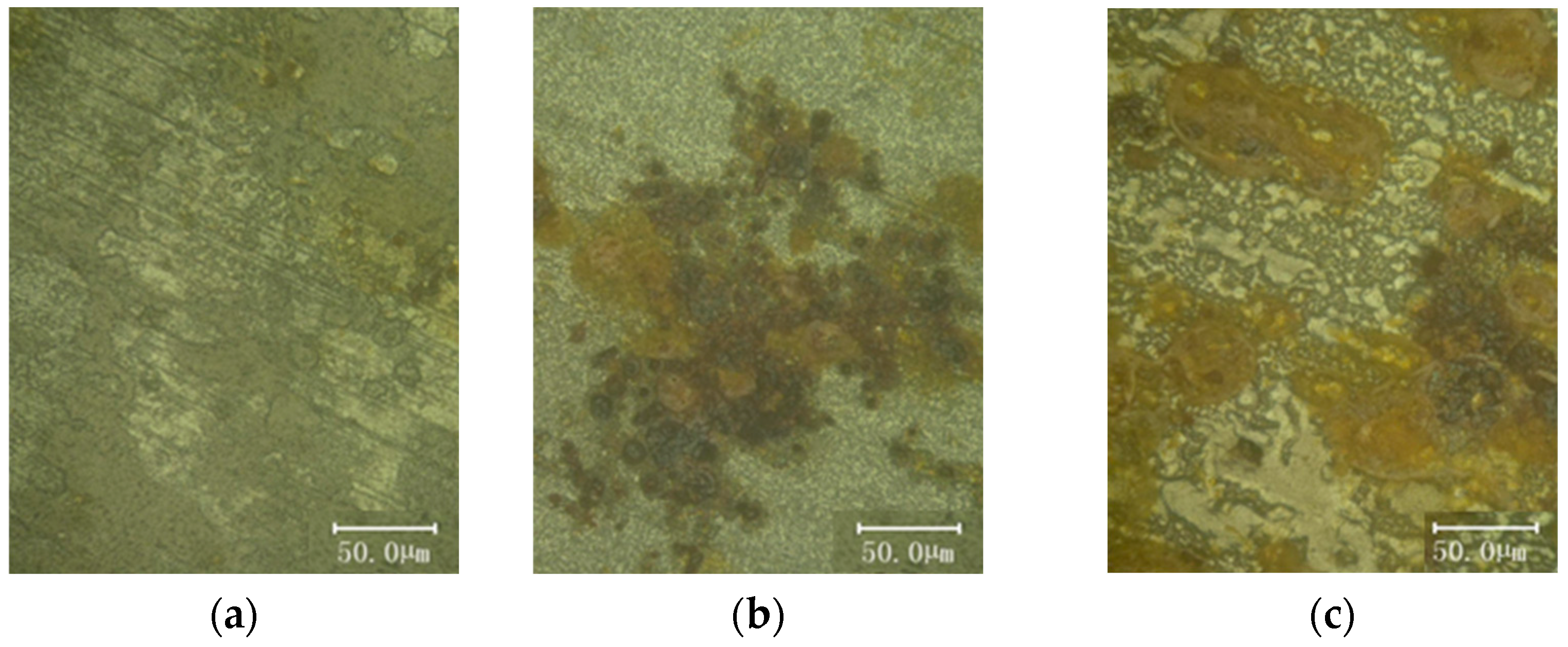 Metals 15 00506 g008