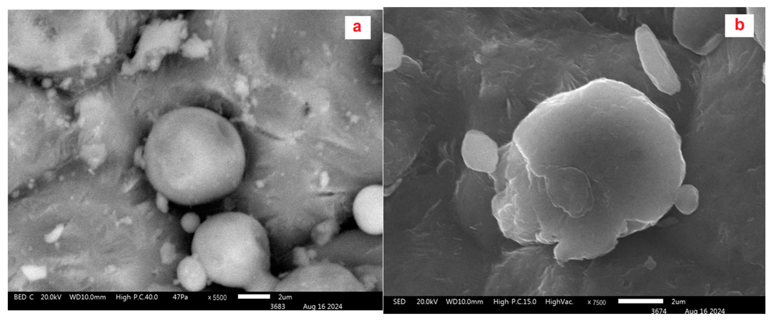 Metals 15 00514 g006 Metals 15 00514 g006