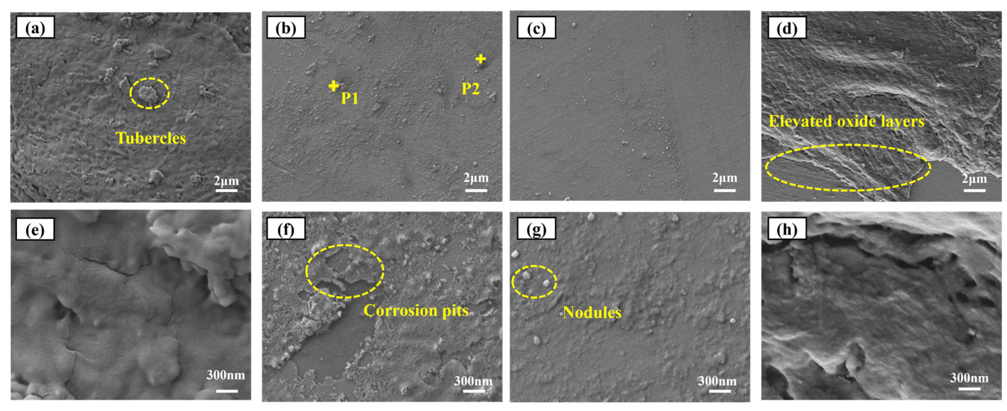 Metals 15 00517 g007