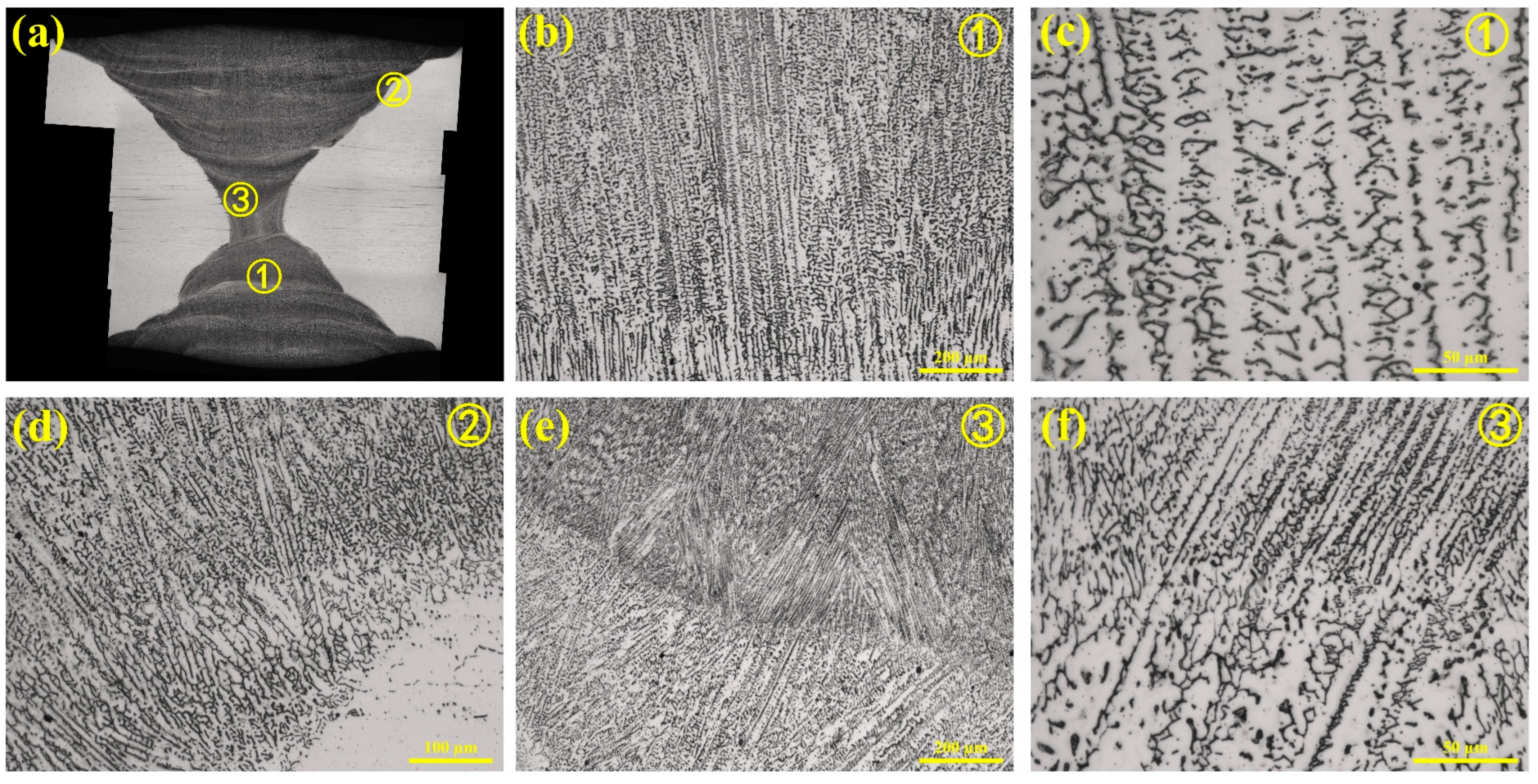 Metals 15 00518 g002