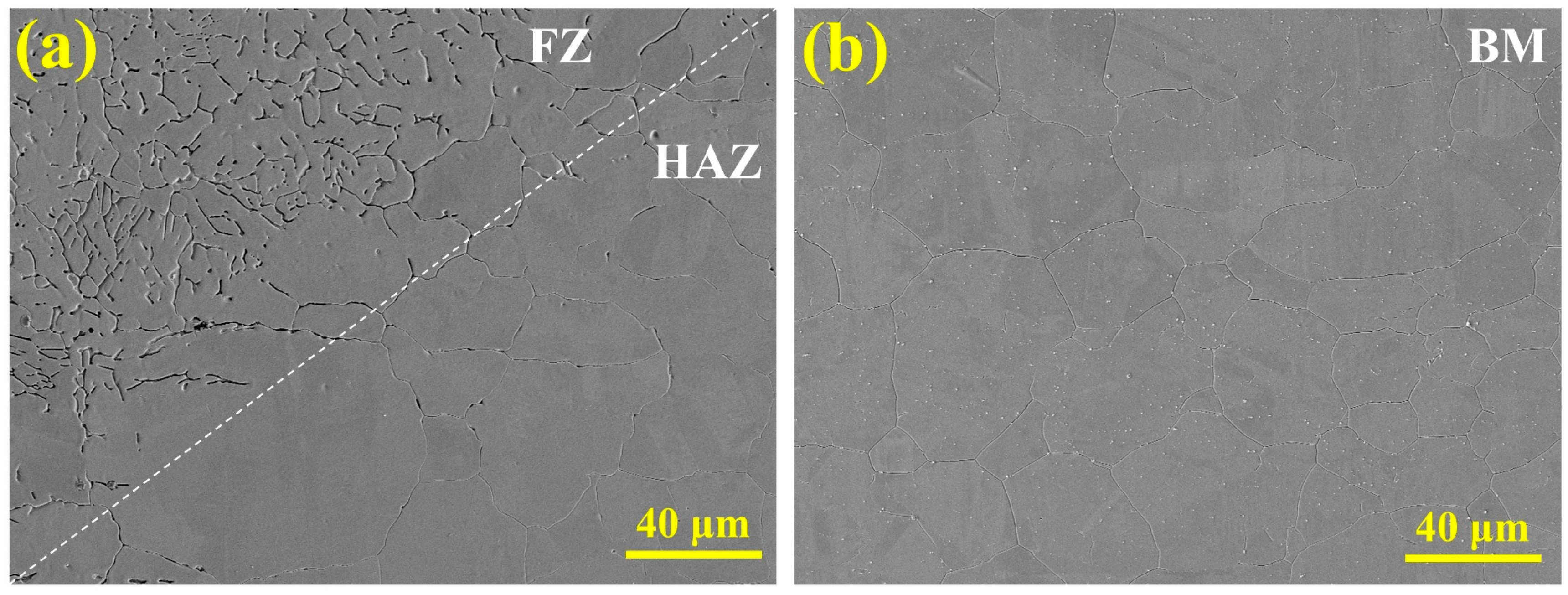 Metals 15 00518 g005