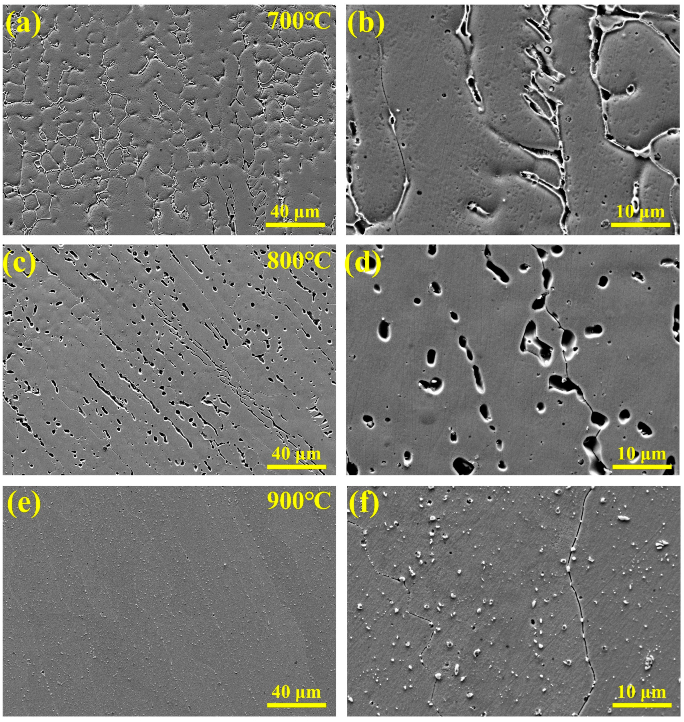 Metals 15 00518 g007