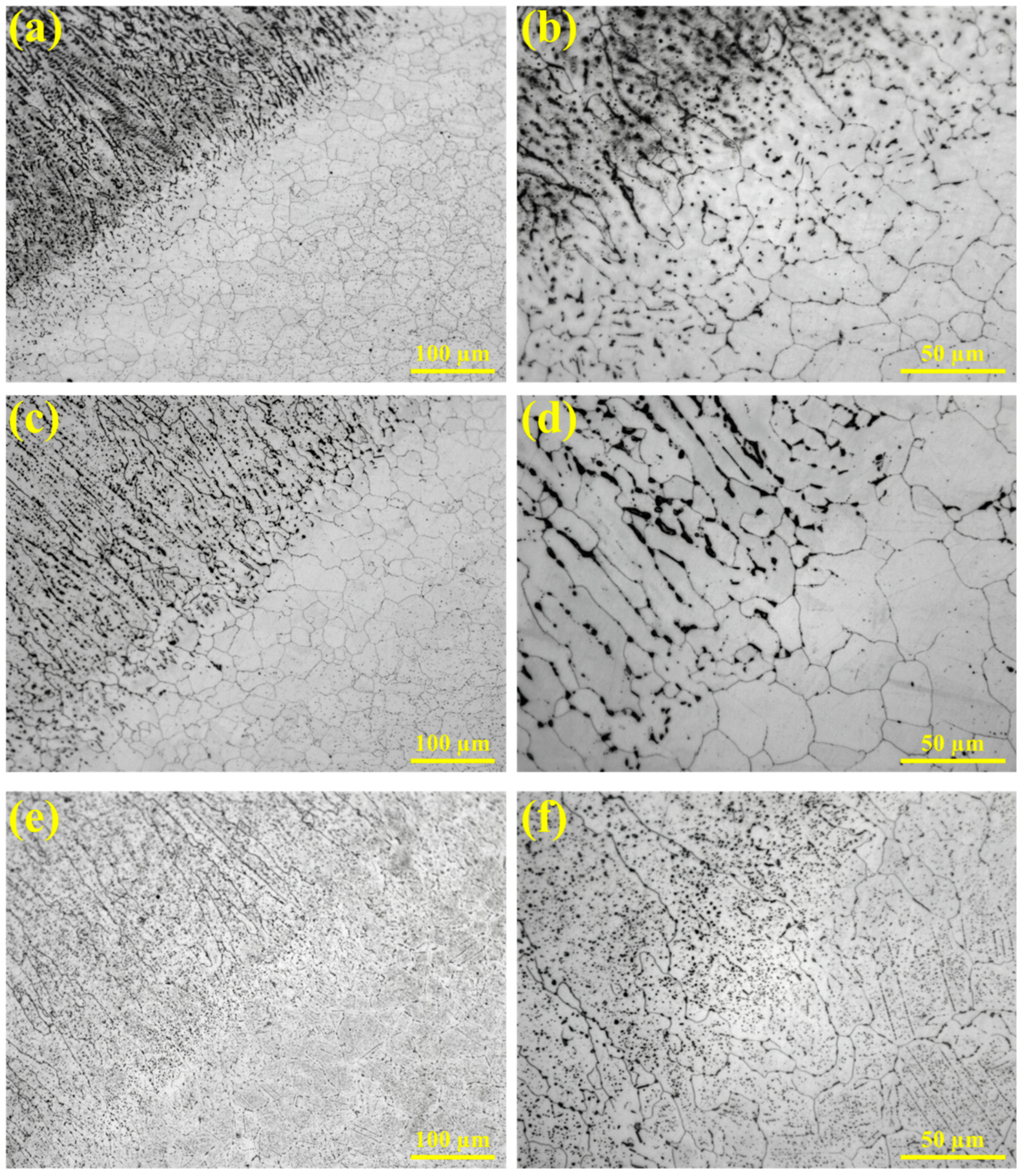 Metals 15 00518 g011