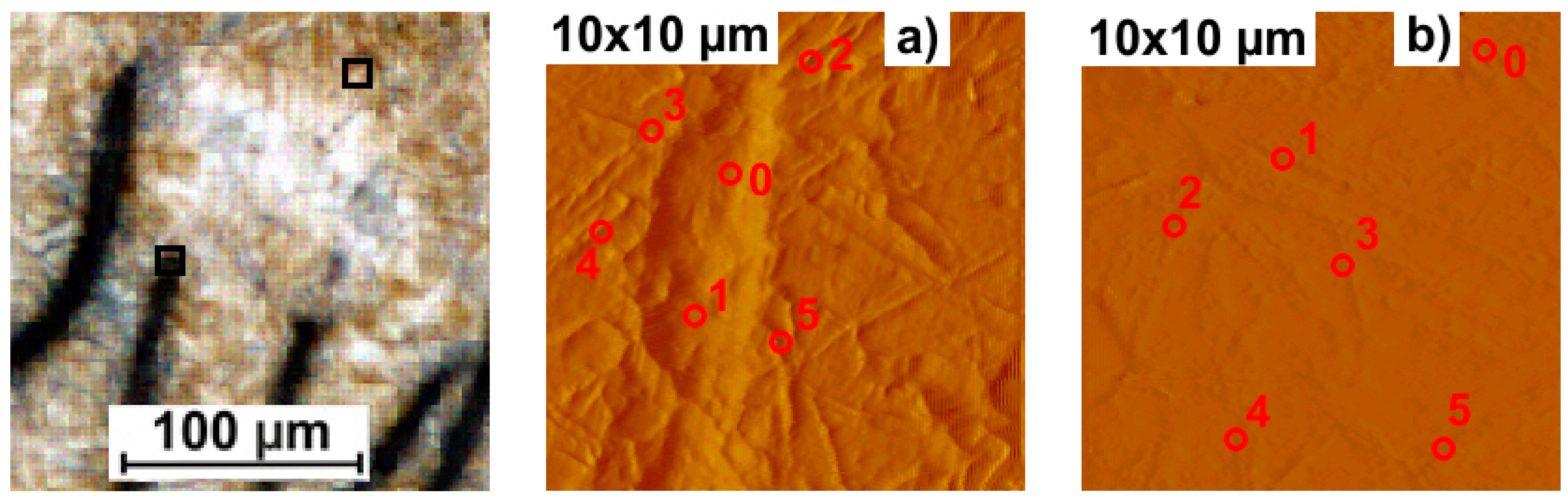 Metals 15 00530 g010