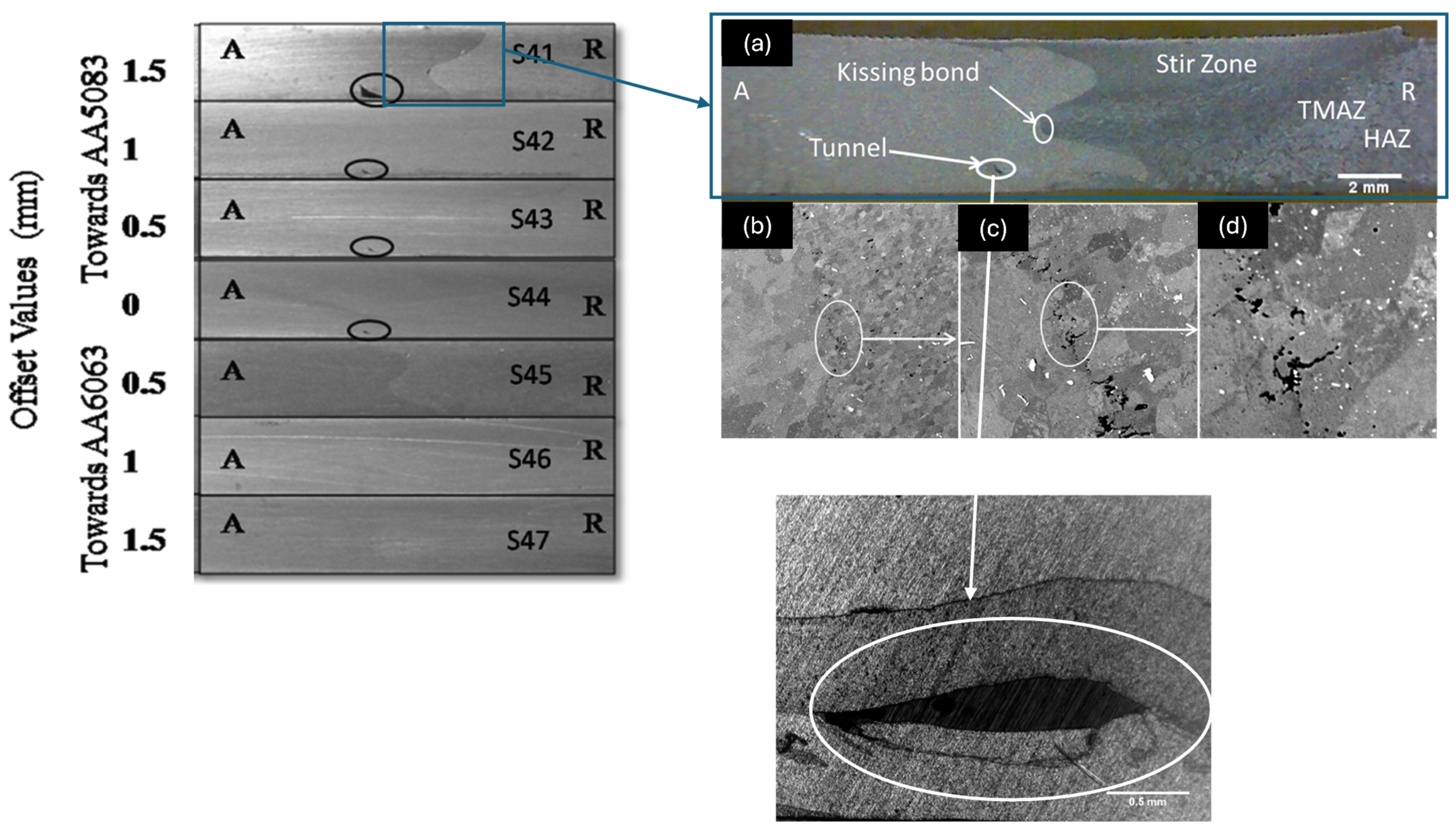 Metals 15 00532 g009