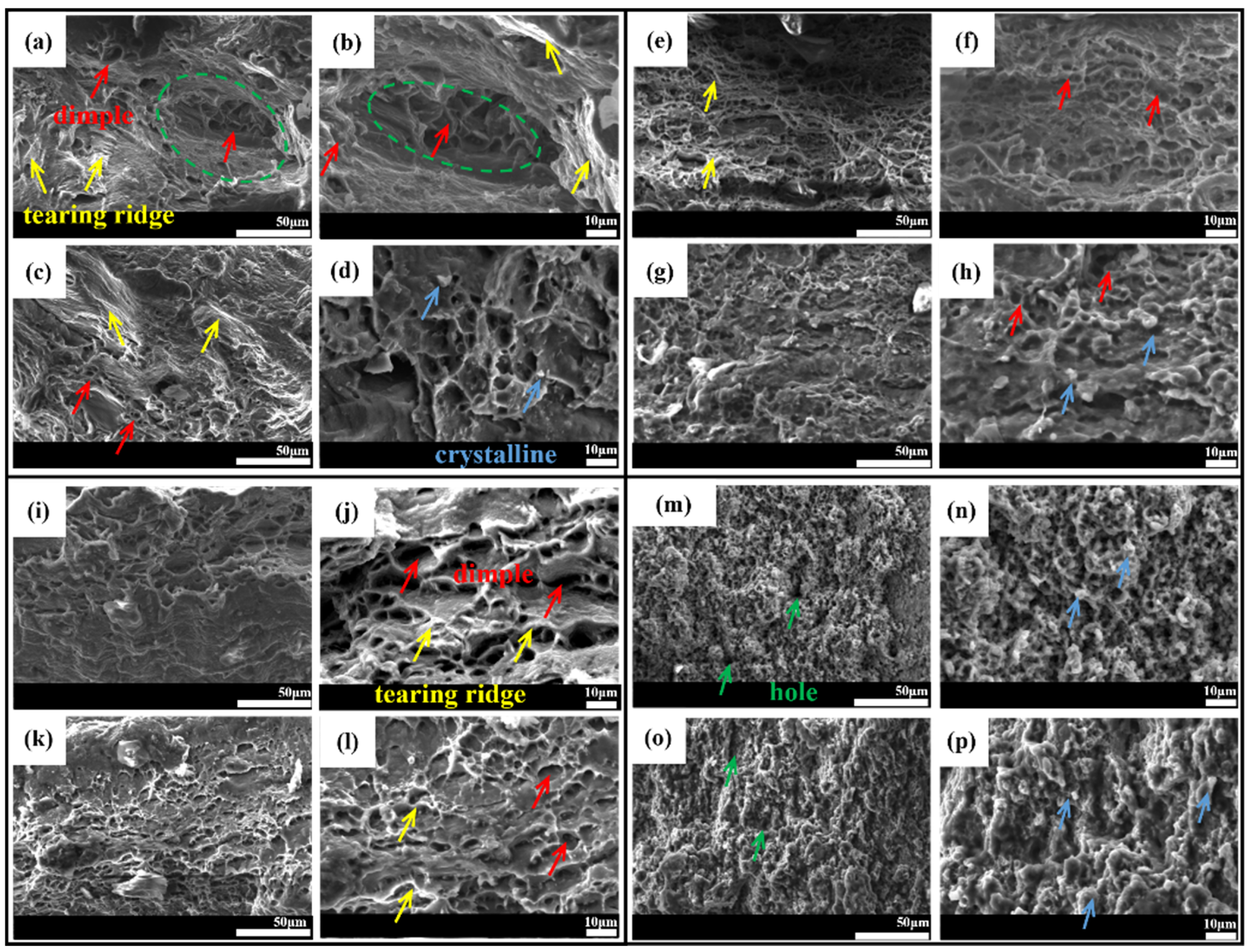 Metals 15 00533 g007