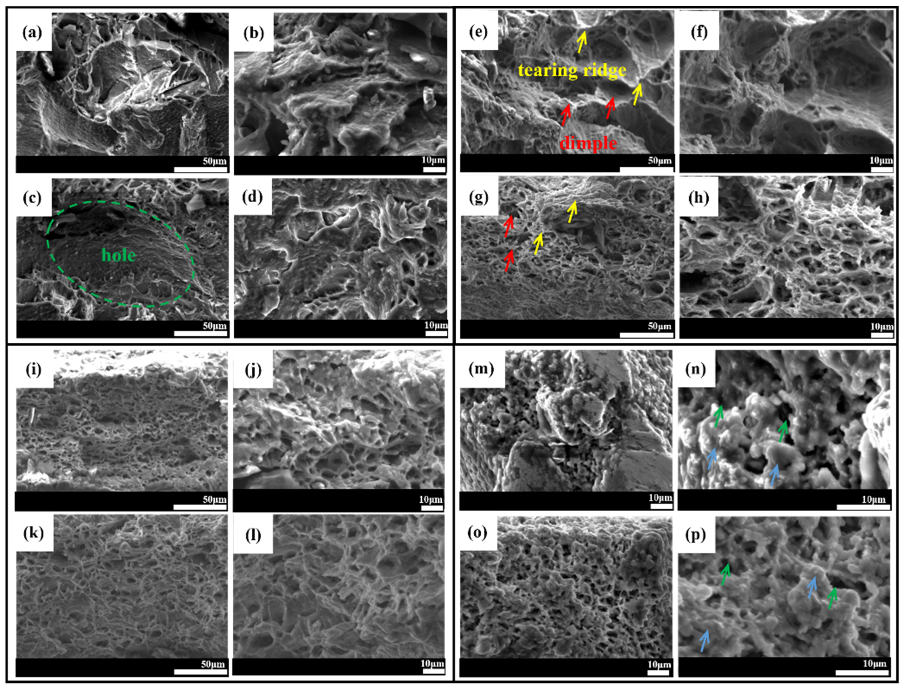 Metals 15 00533 g008