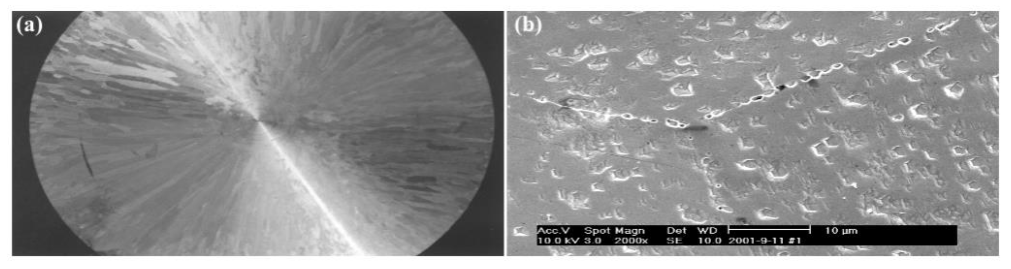 Metals 15 00536 g002