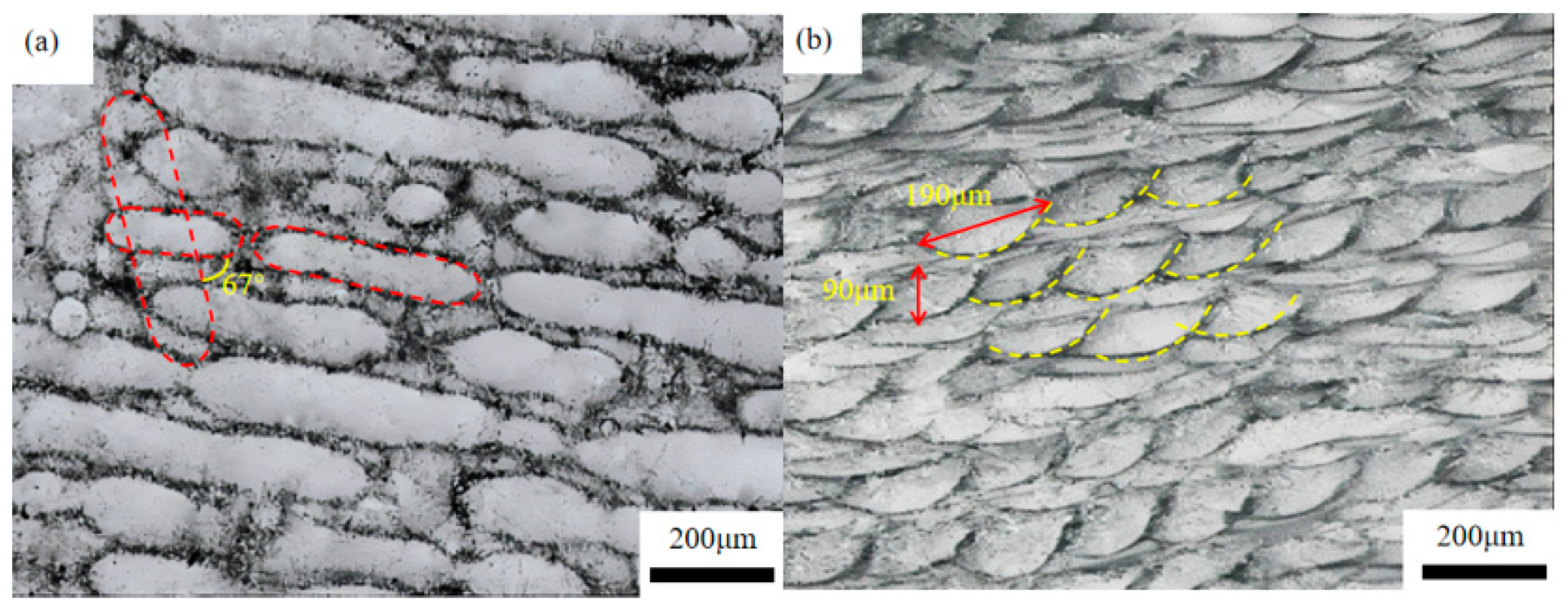 Metals 15 00541 g008