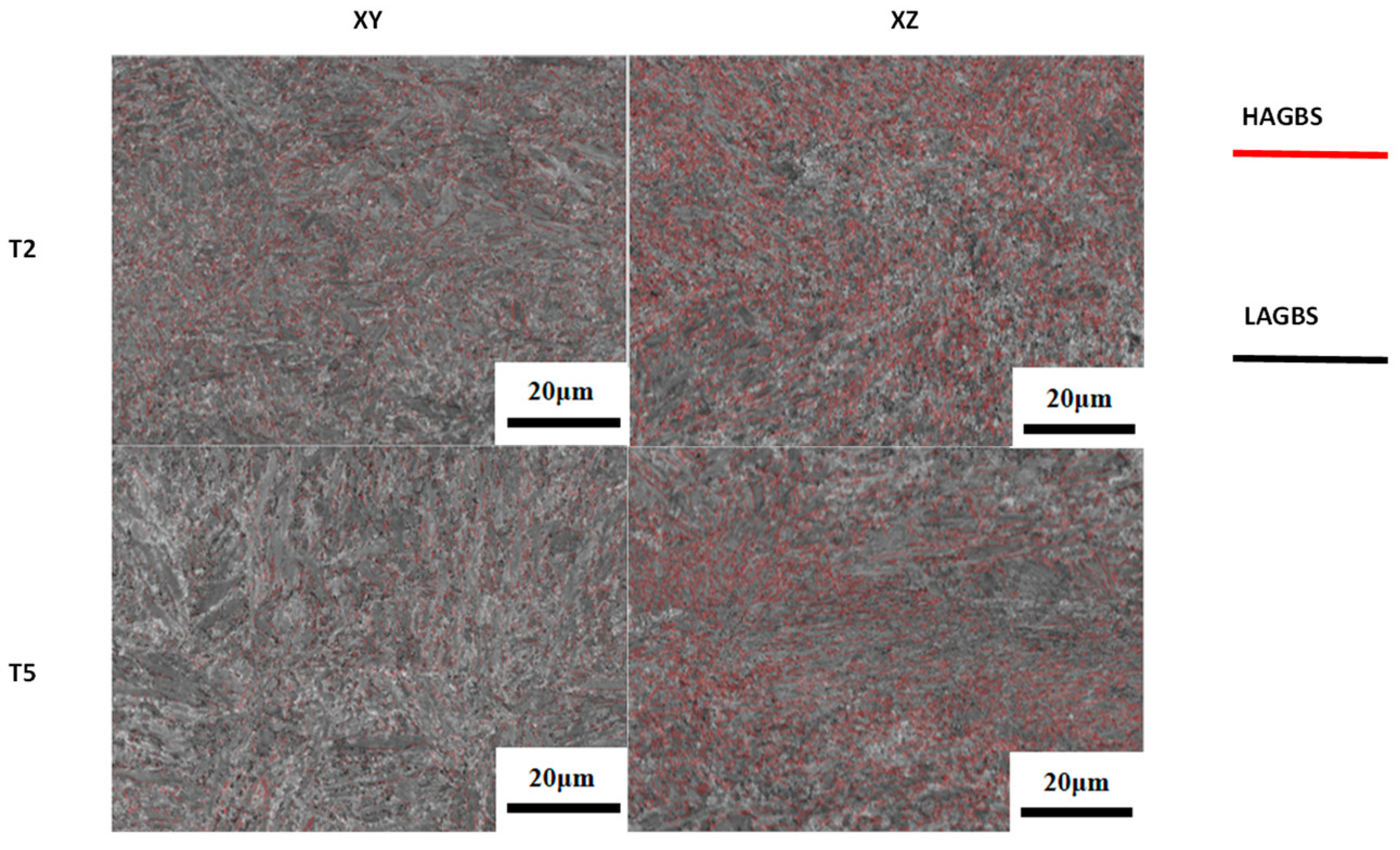 Metals 15 00541 g013