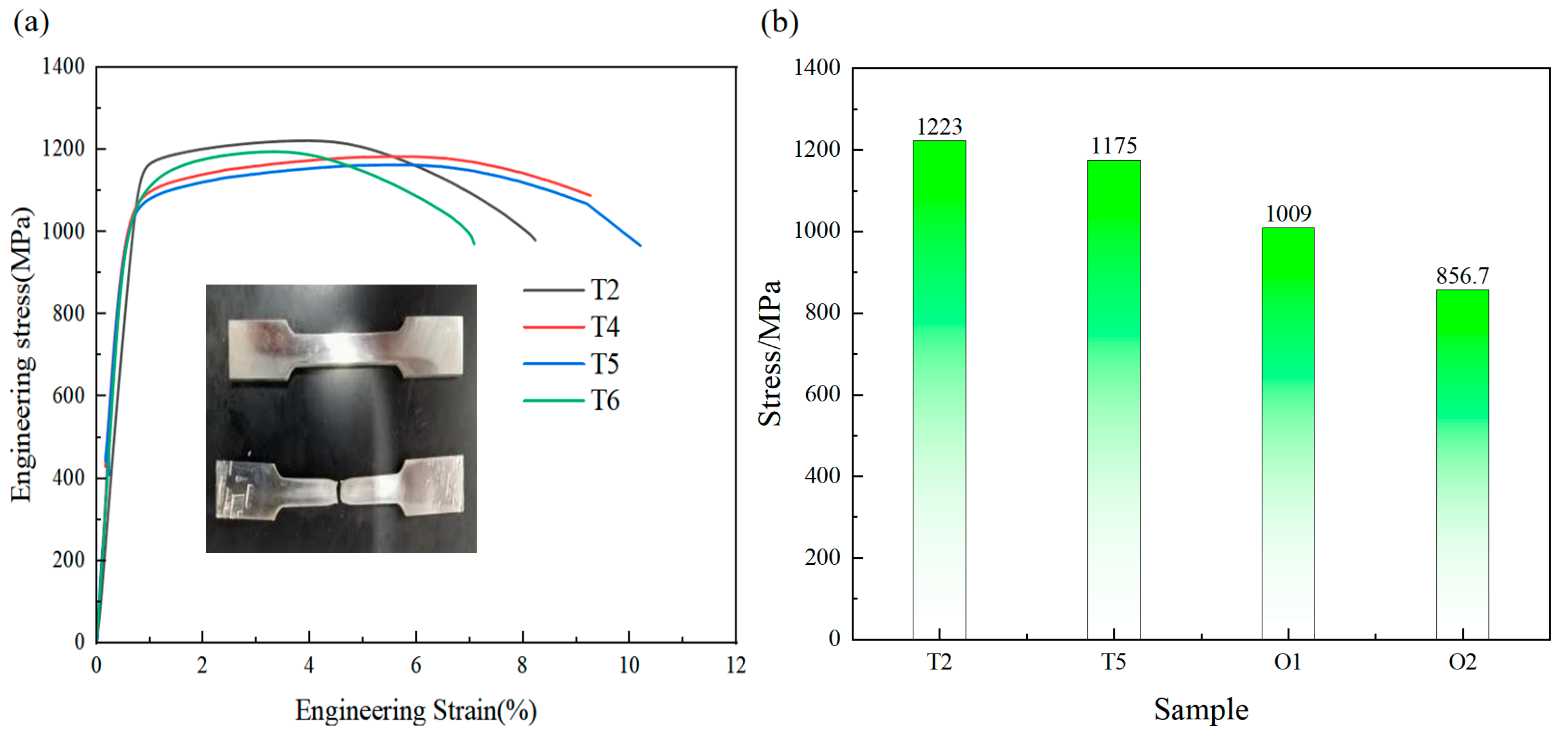 Metals 15 00541 g016