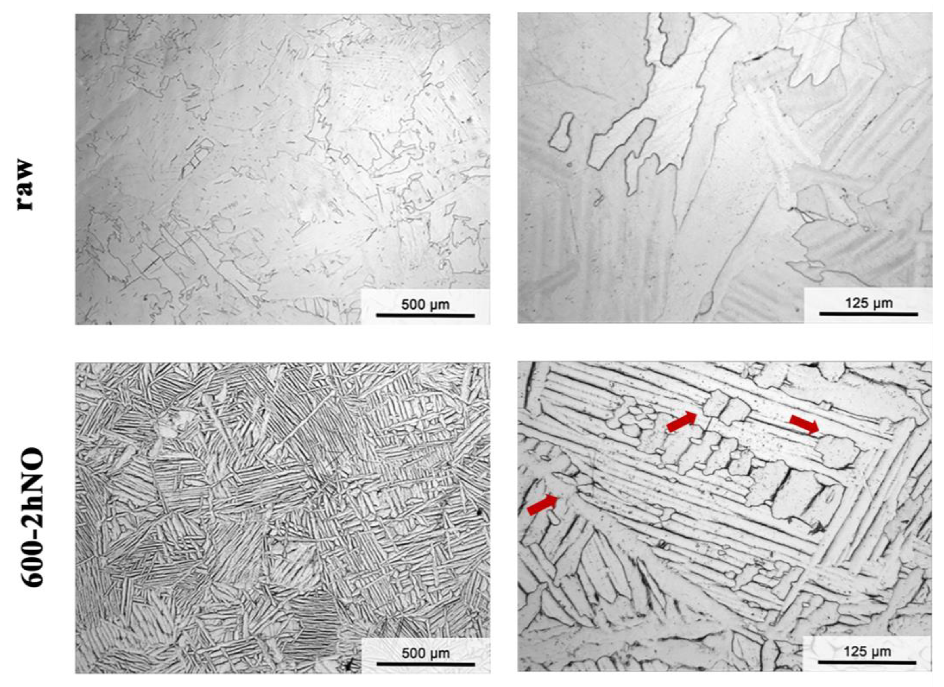 Metals 15 00554 g006