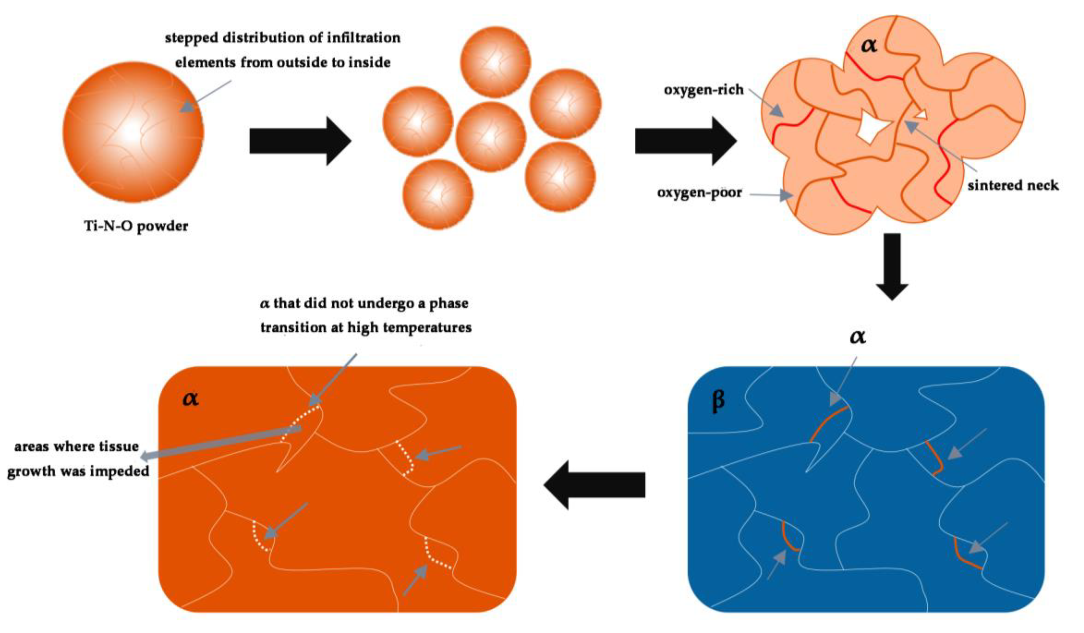 Metals 15 00554 g010