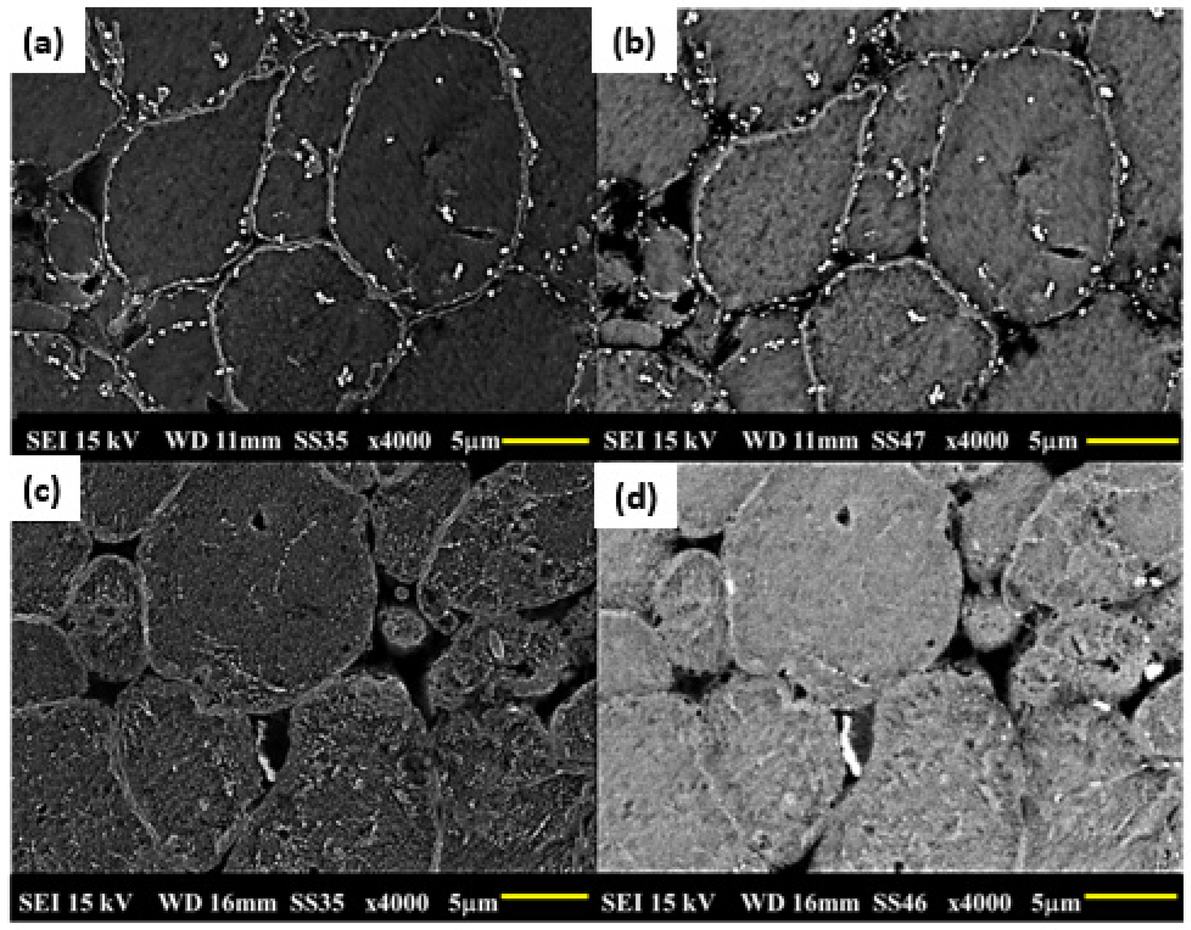 Metals 15 00559 g008