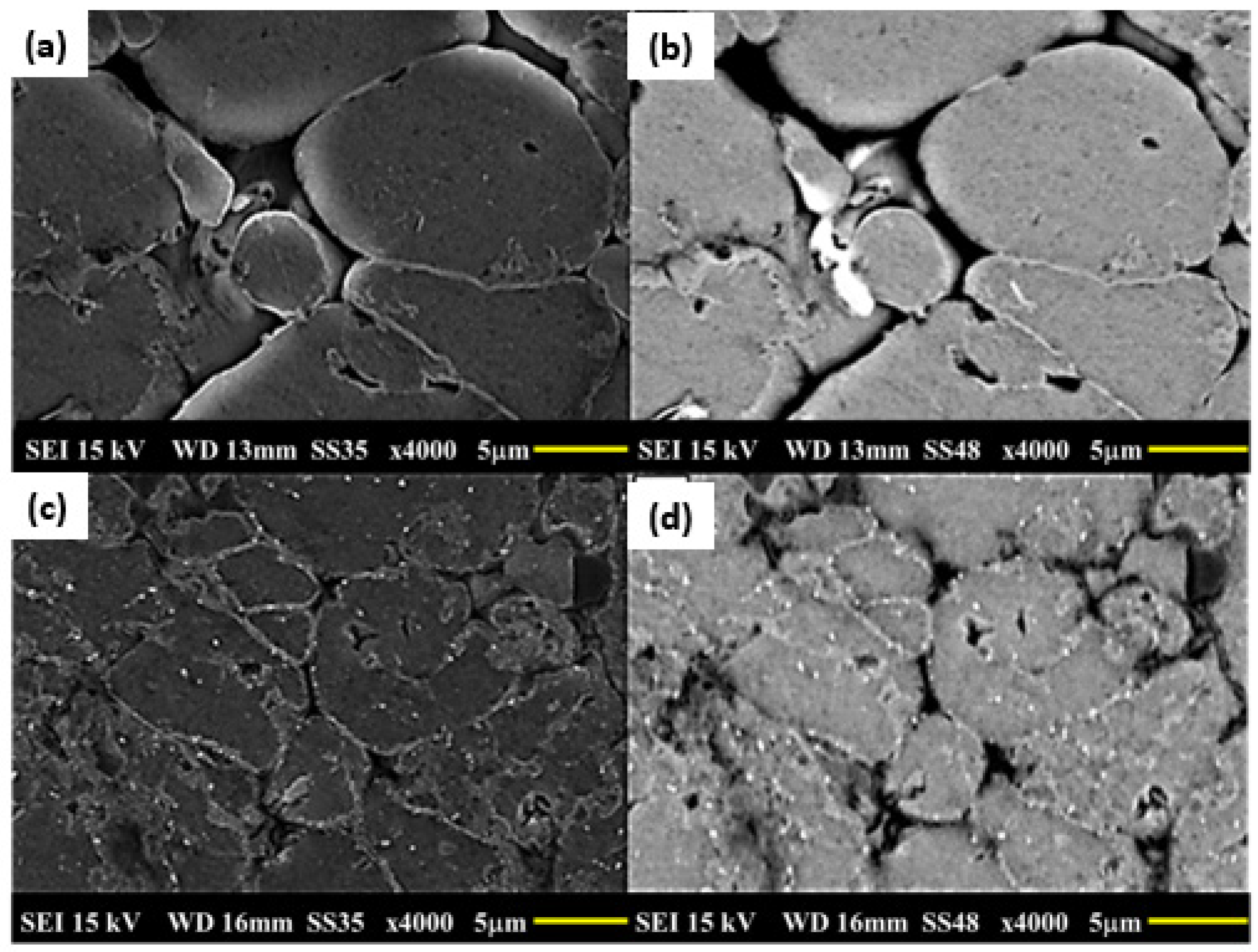 Metals 15 00559 g009