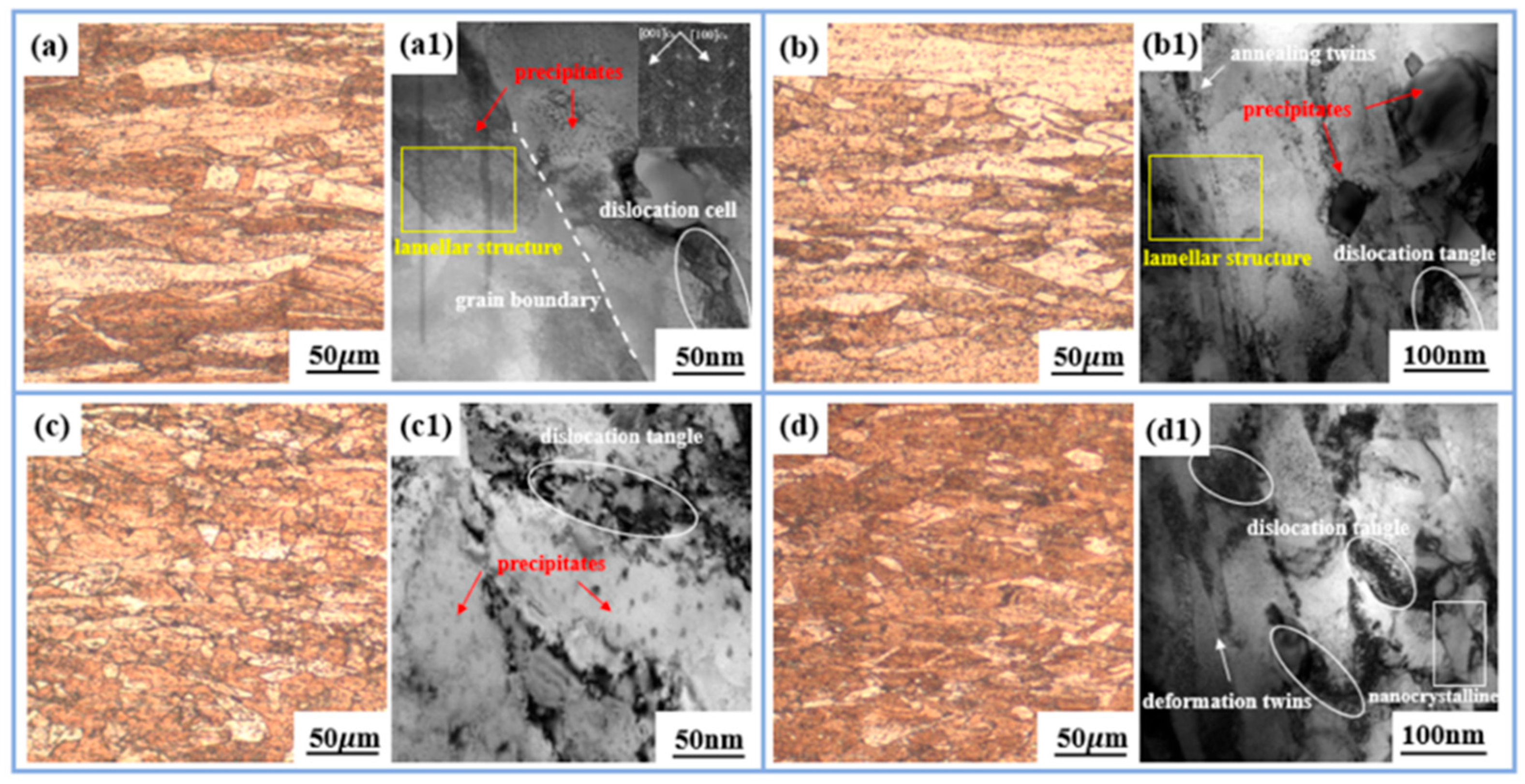 Metals 15 00564 g005