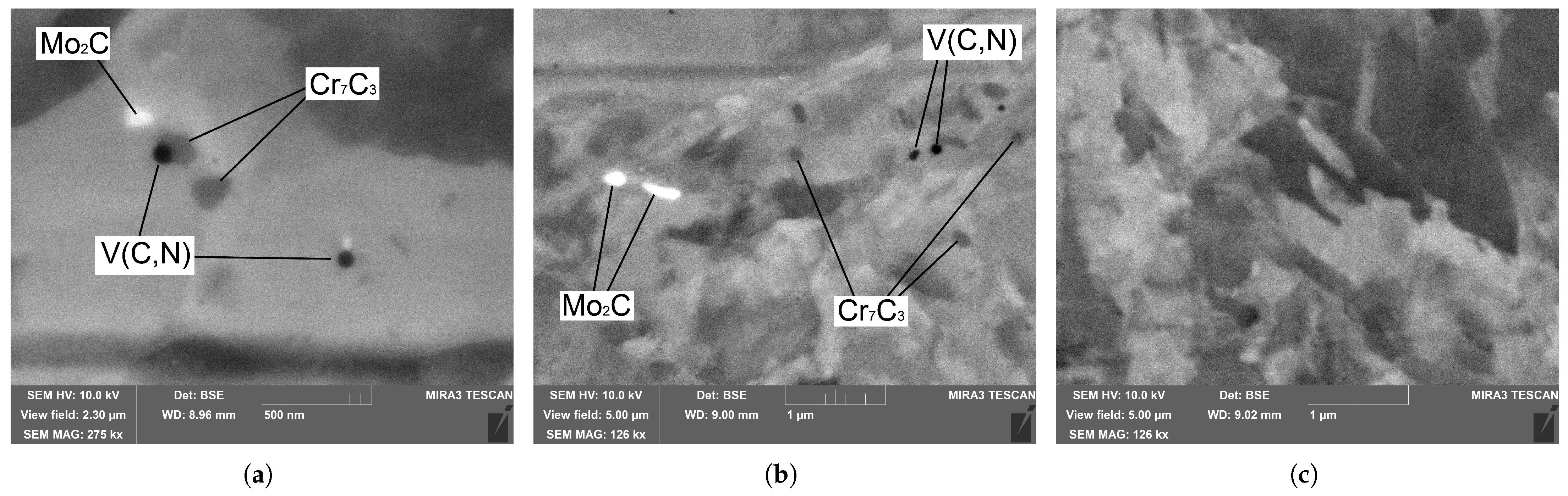 Metals 15 00571 g005