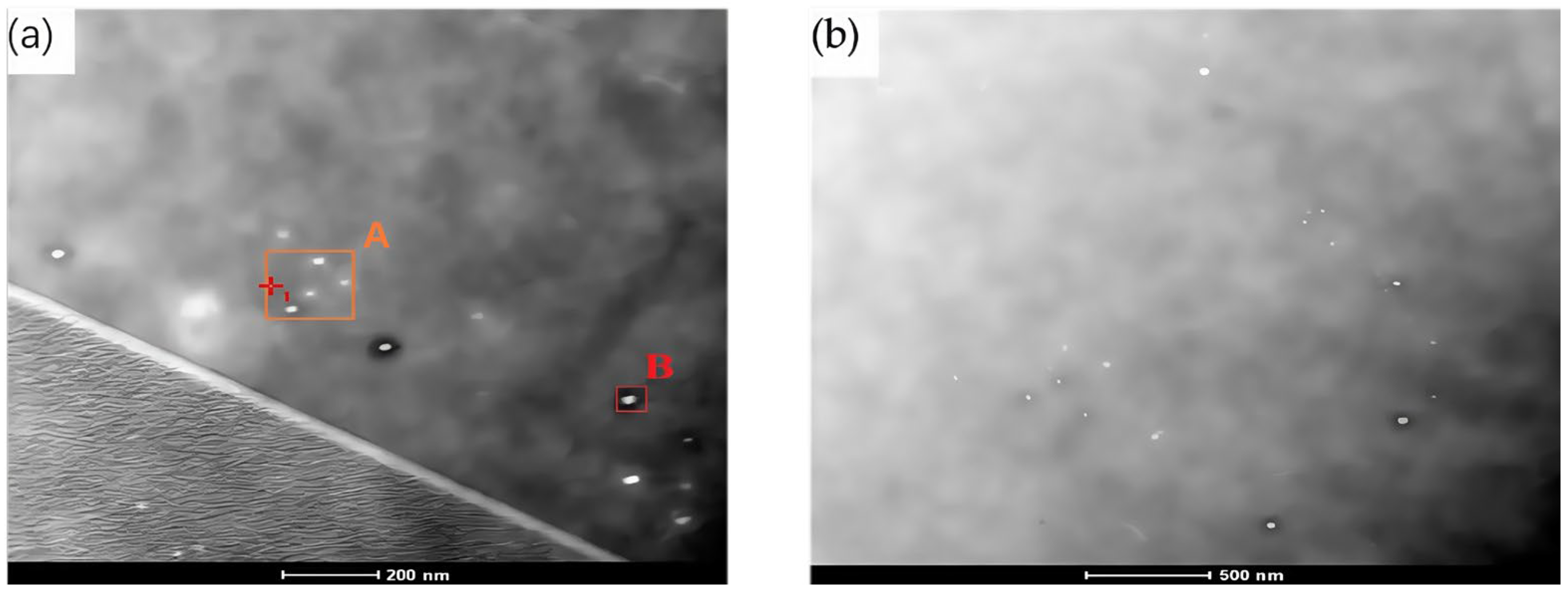 Metals 15 00576 g005