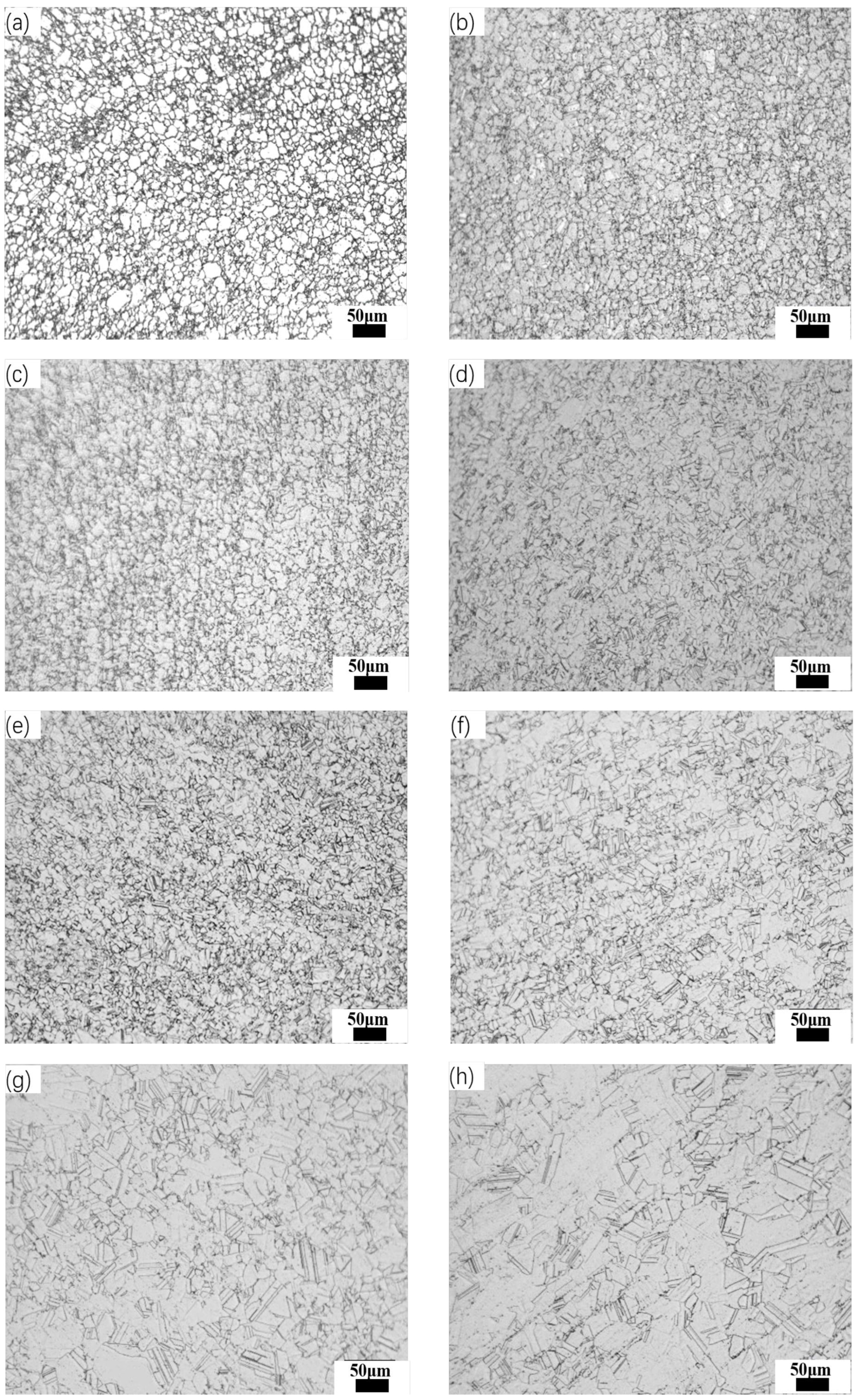 Metals 15 00576 g008