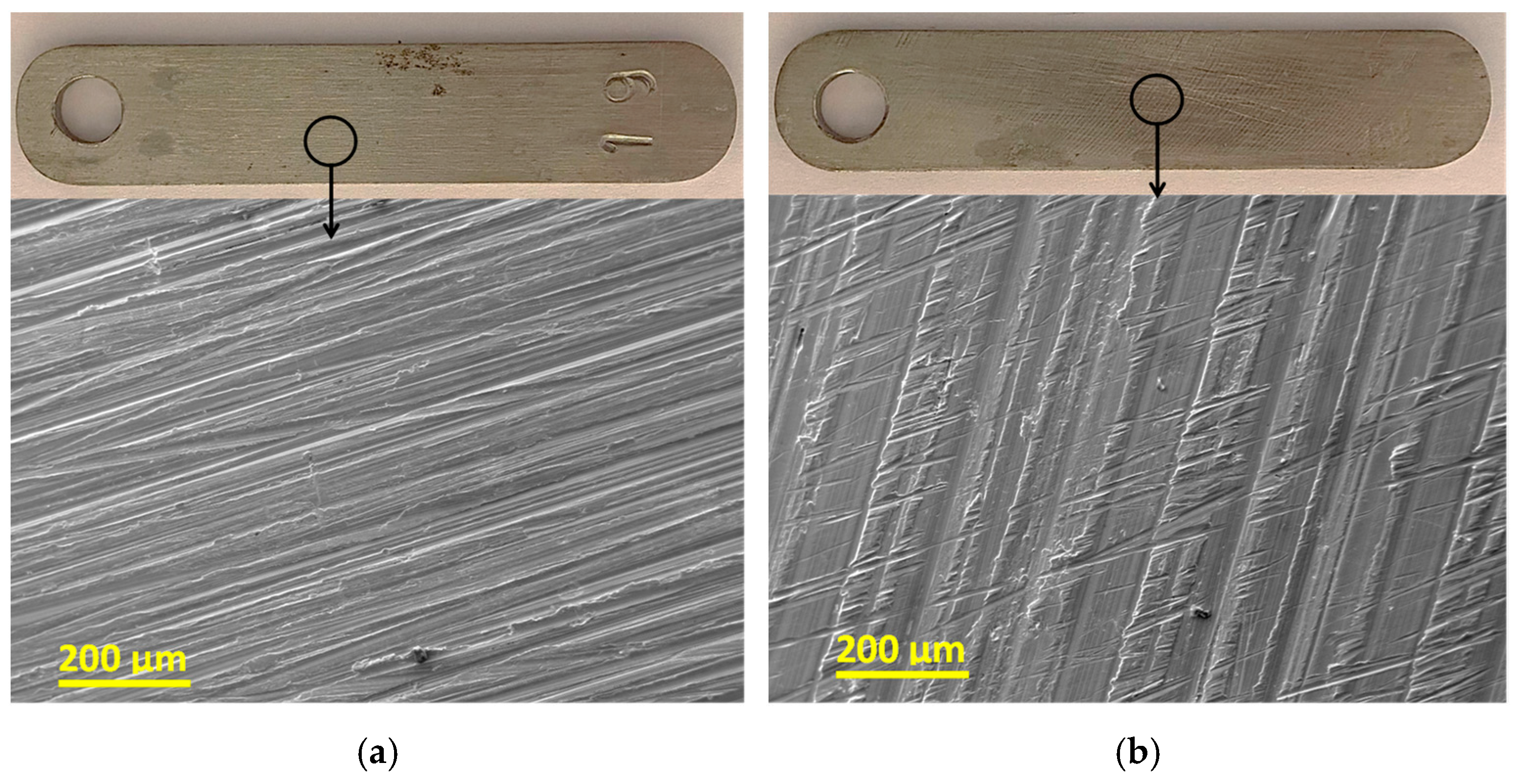 Metals 15 00583 g013 Metals 15 00583 g013