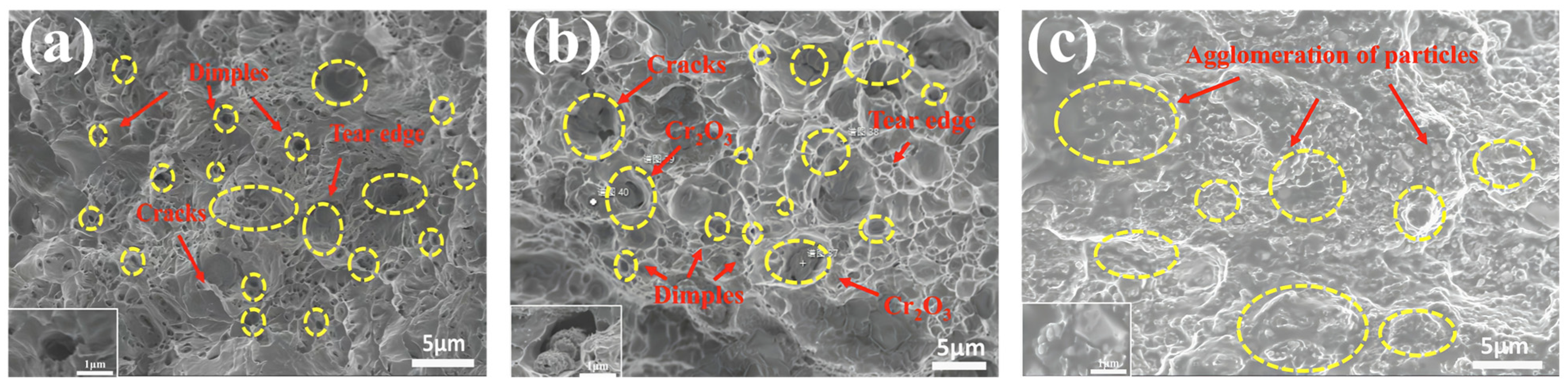 Metals 15 00585 g010