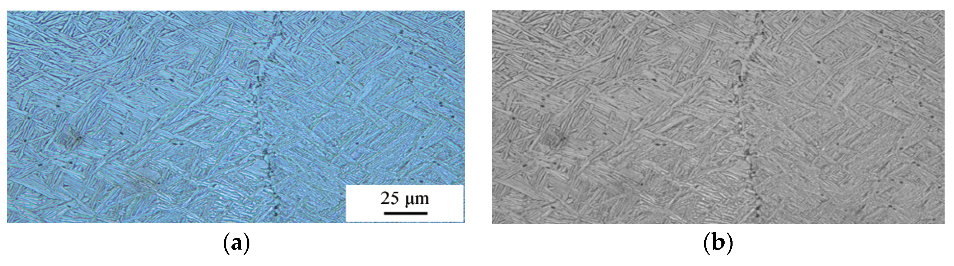 Metals 15 00586 g003